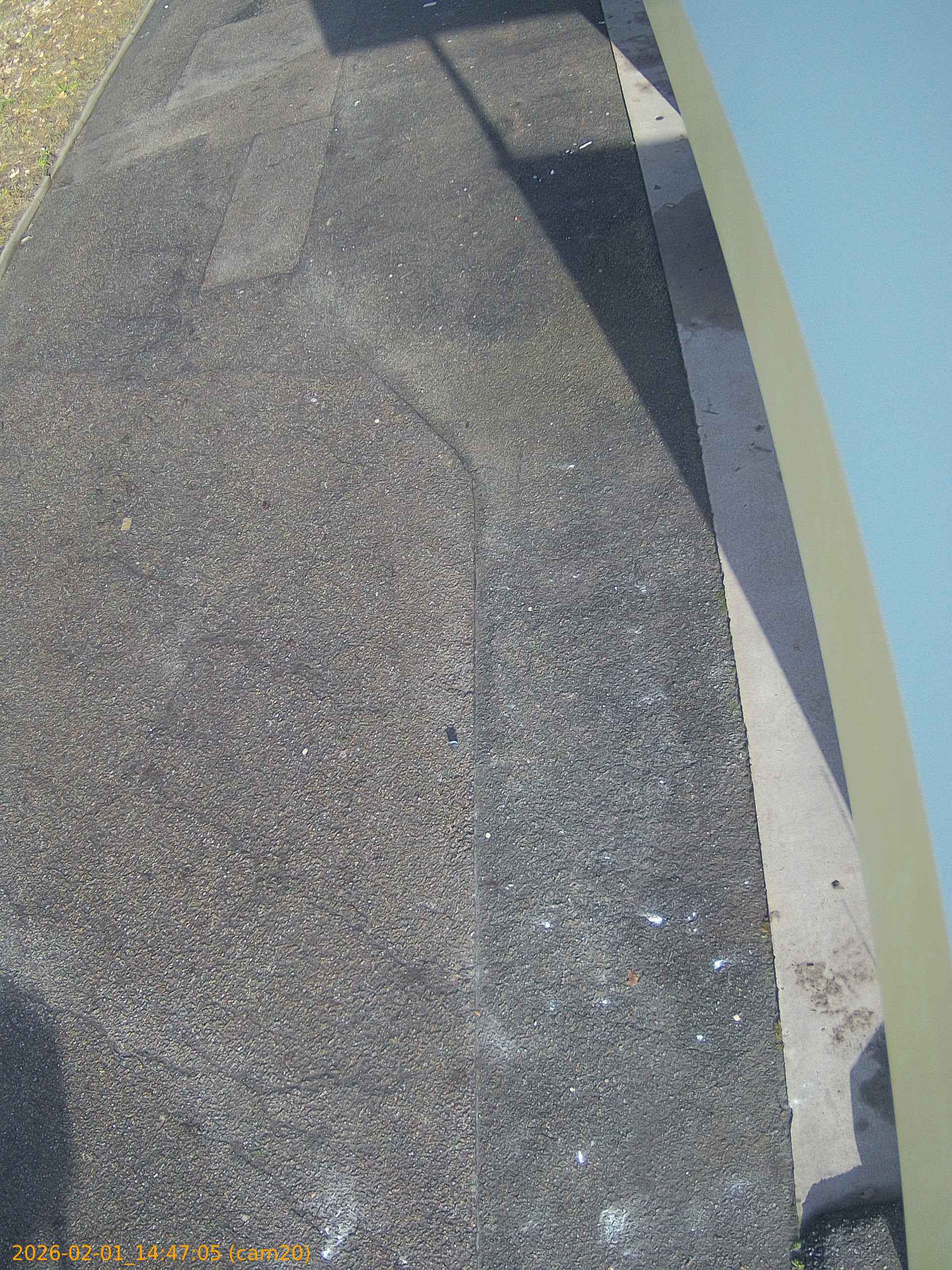 thumbnail_20260201144705