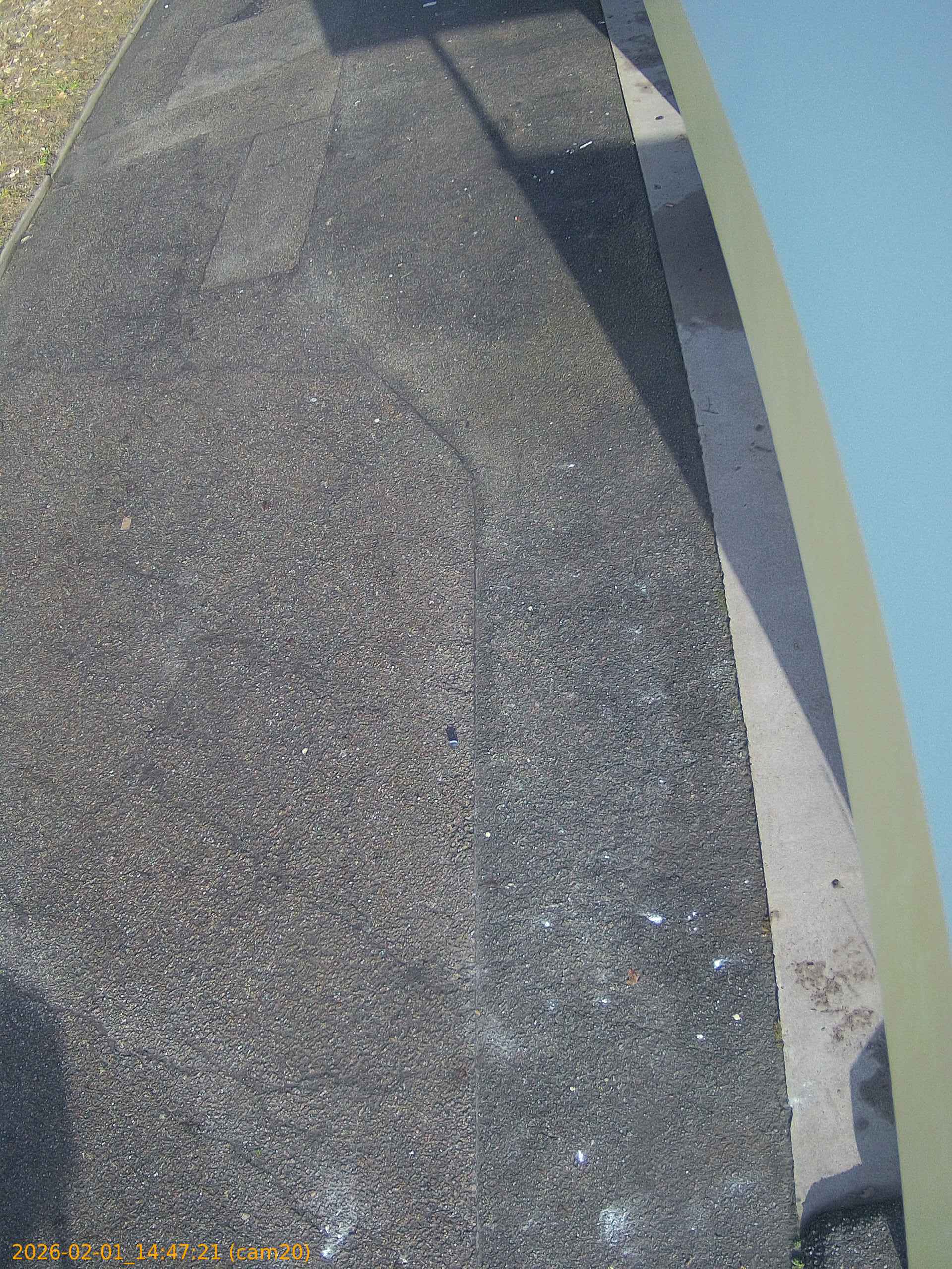 thumbnail_20260201144721