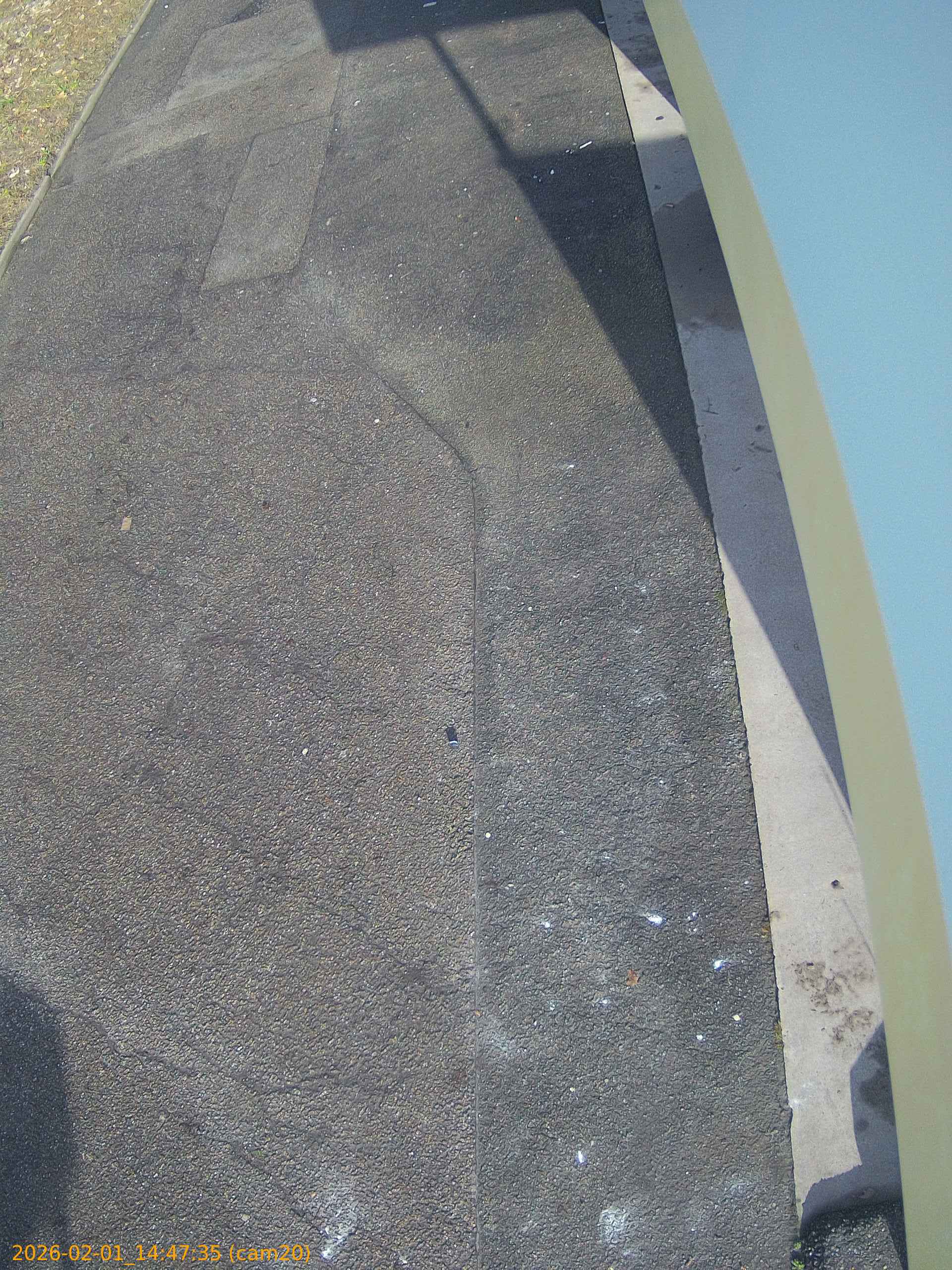 thumbnail_20260201144735