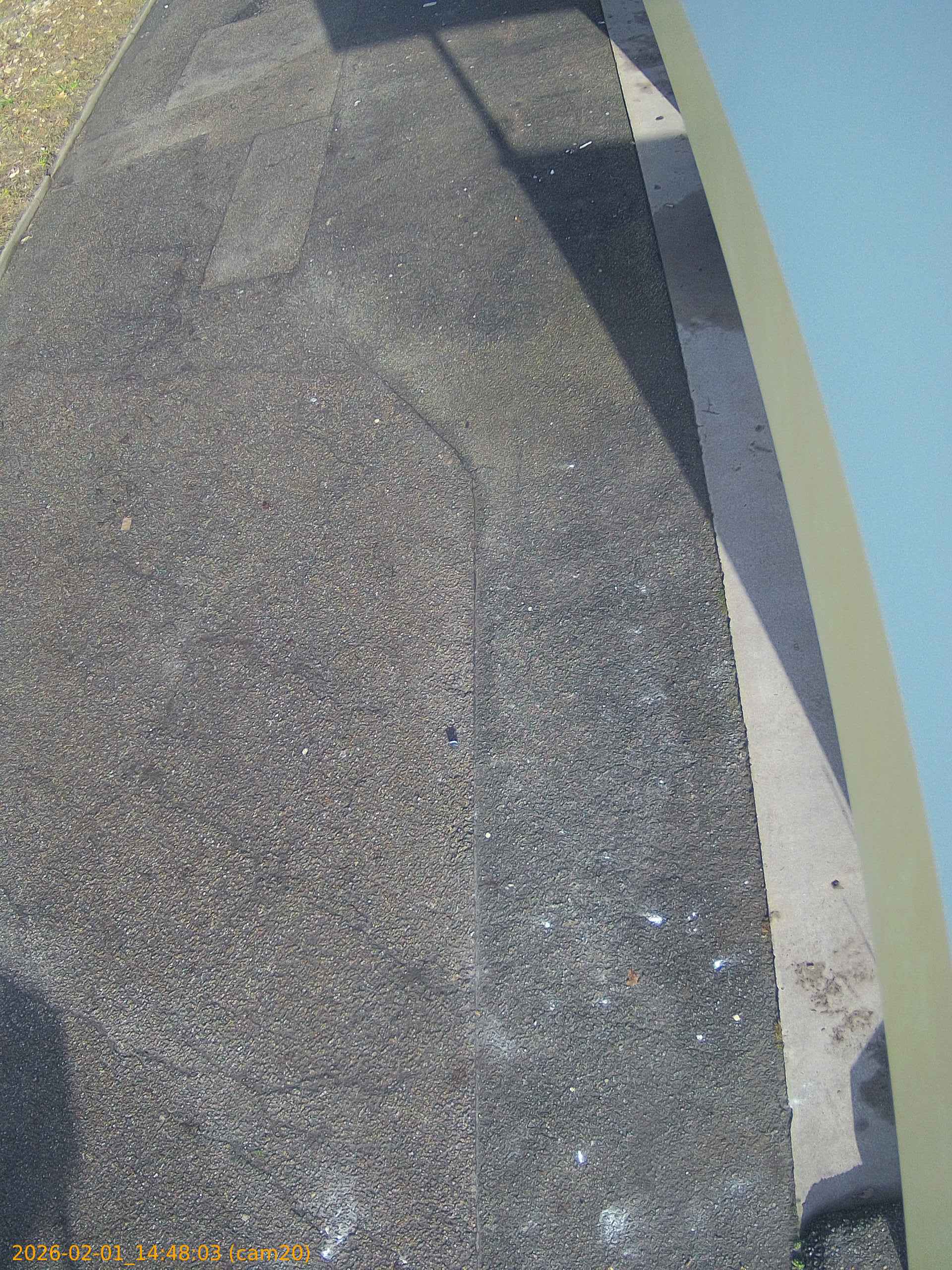 thumbnail_20260201144803