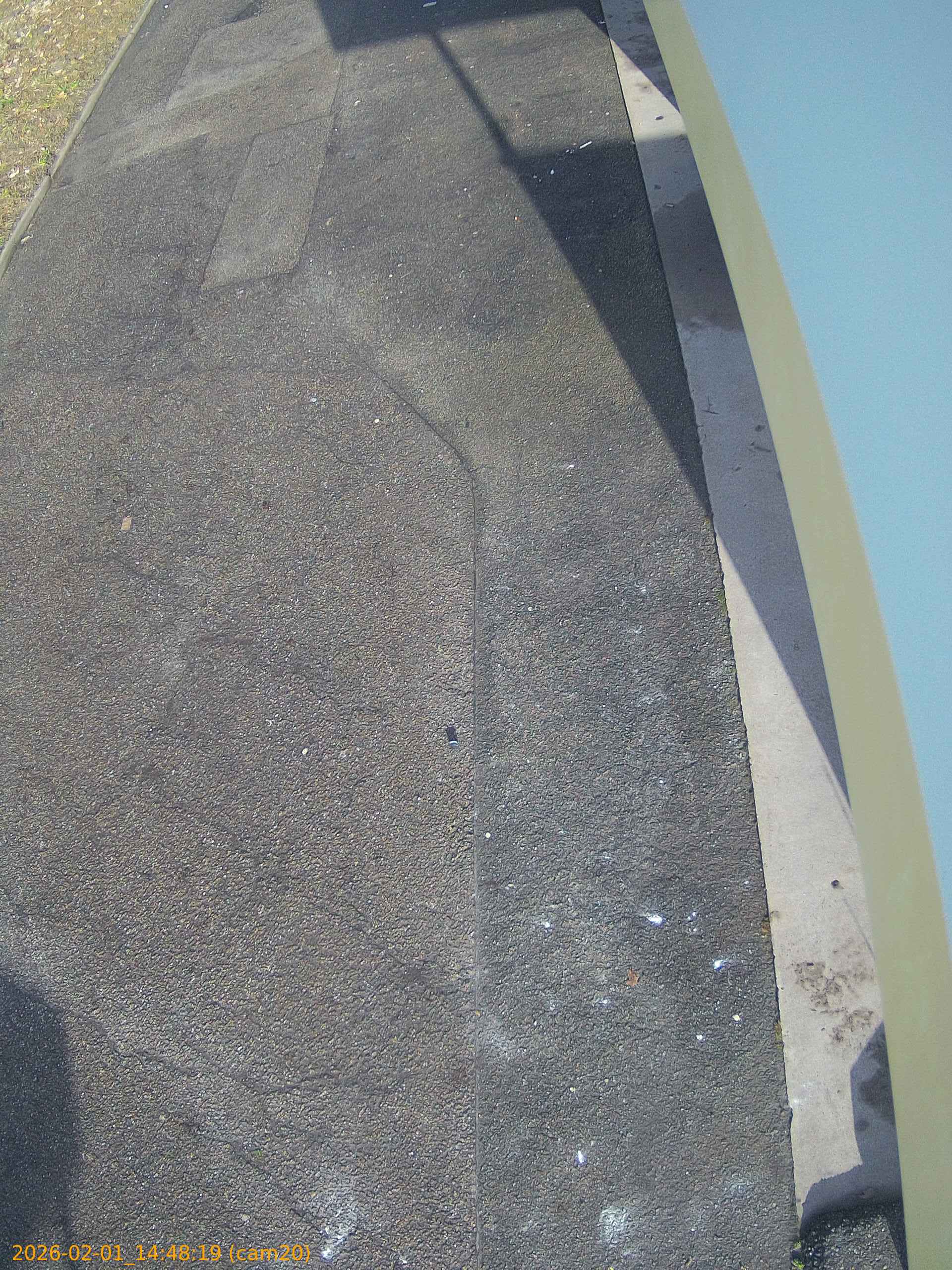 thumbnail_20260201144819