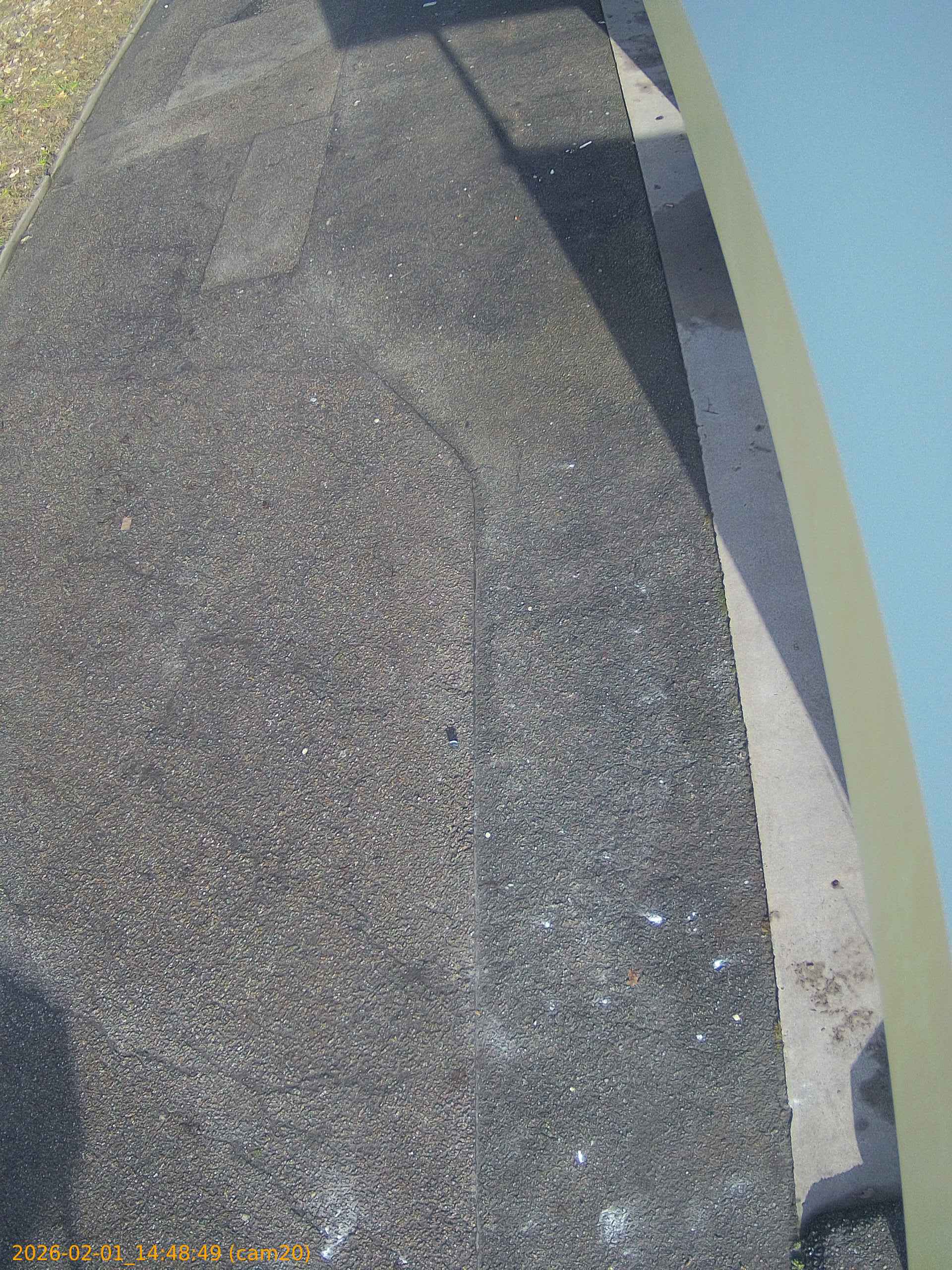 thumbnail_20260201144849