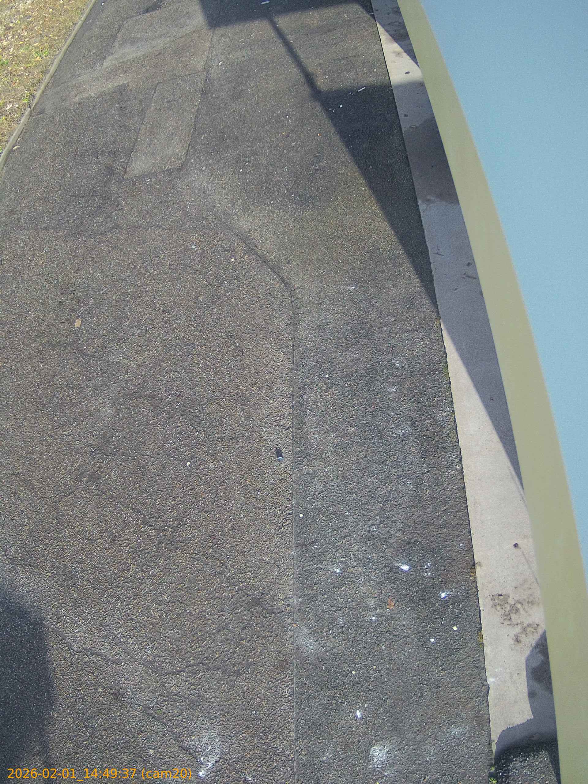 thumbnail_20260201144937