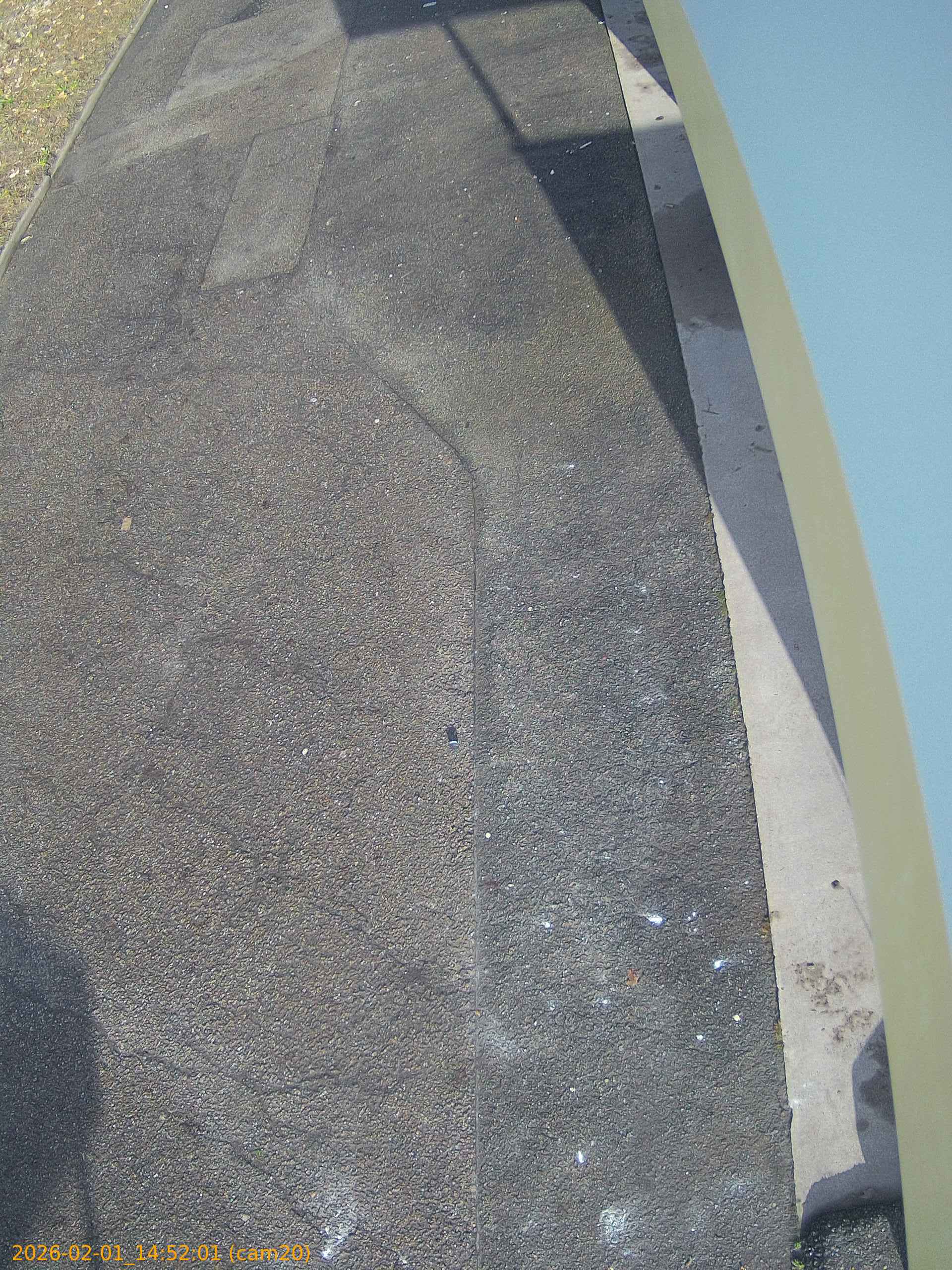 thumbnail_20260201145201