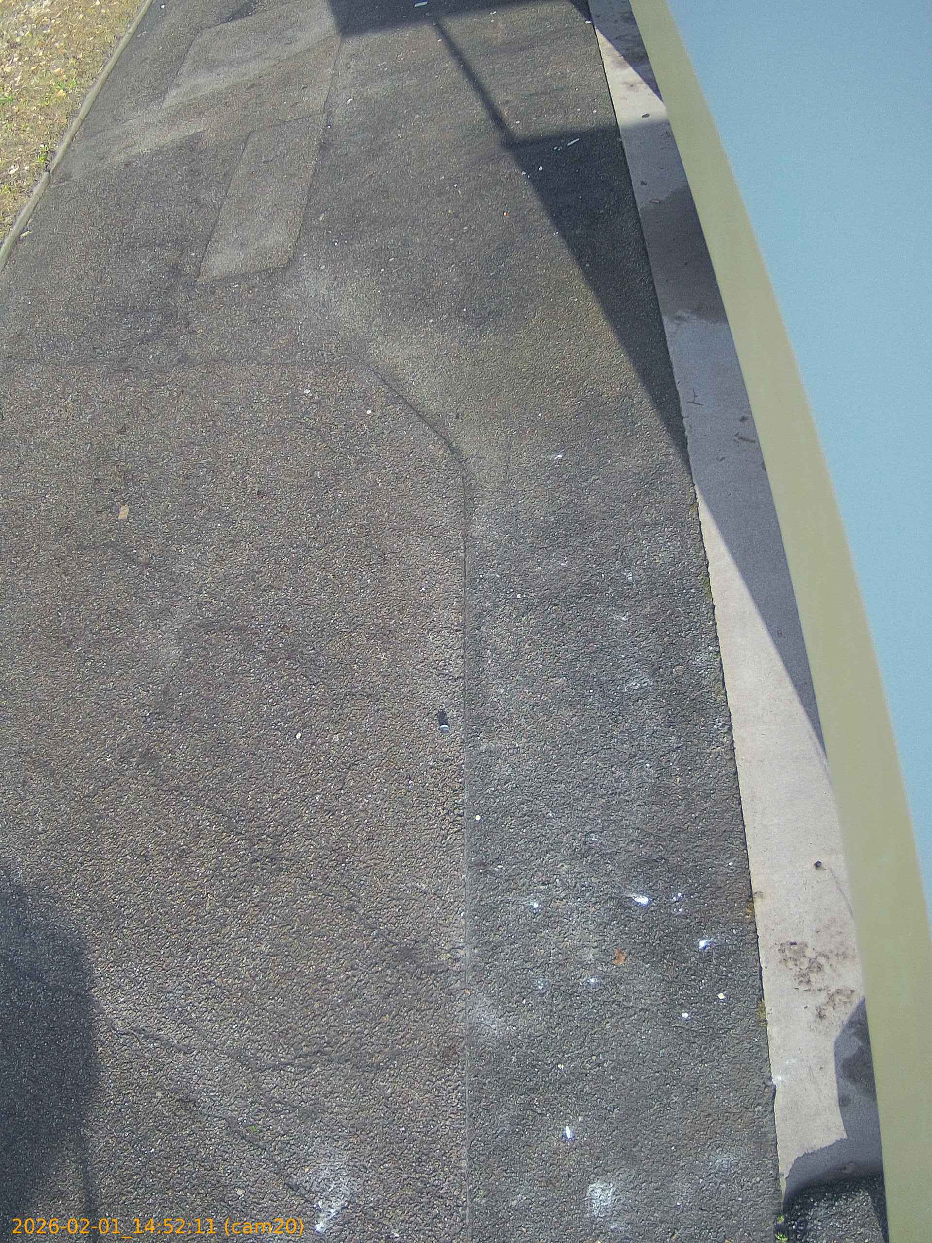 thumbnail_20260201145211