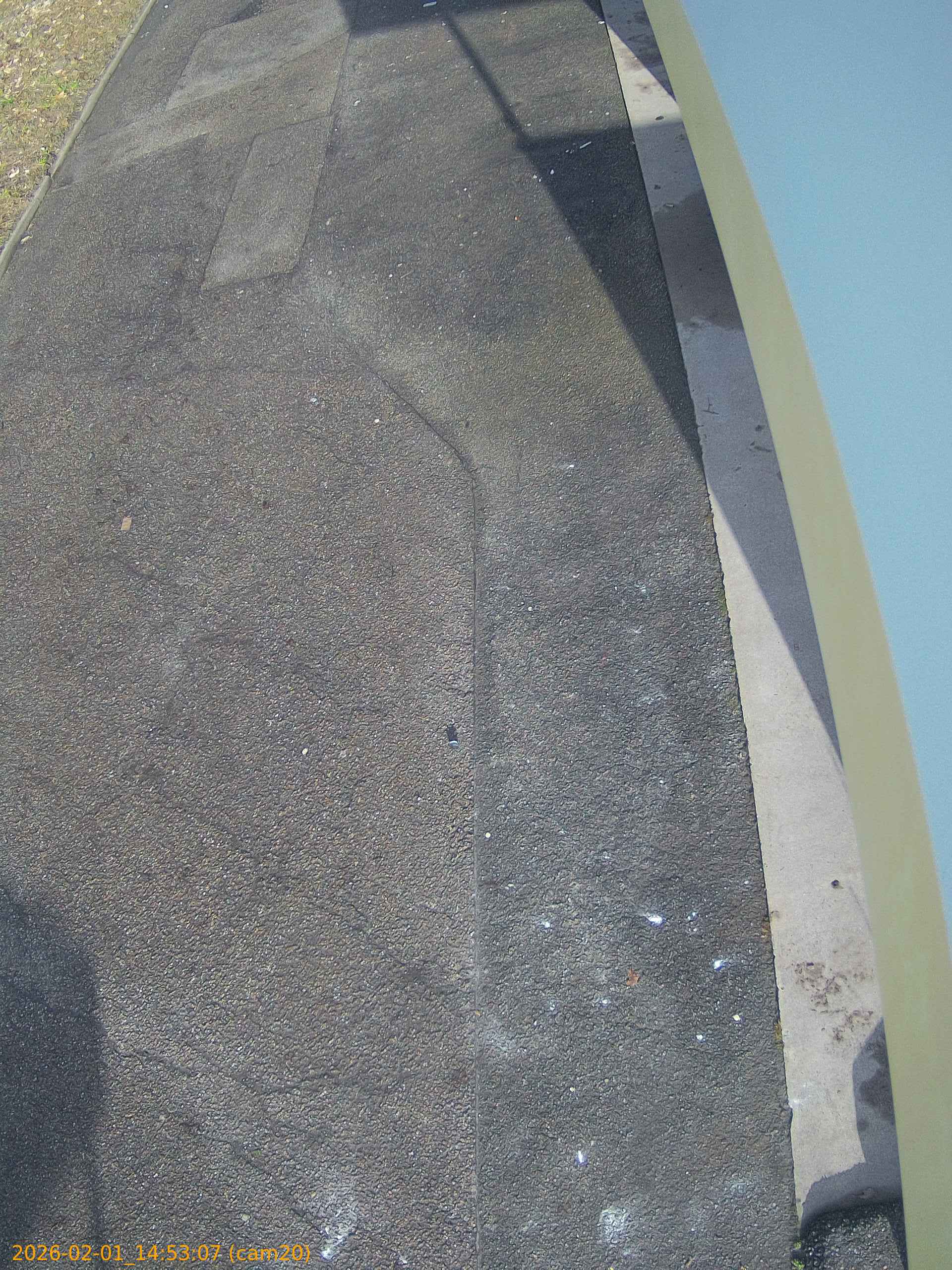 thumbnail_20260201145307