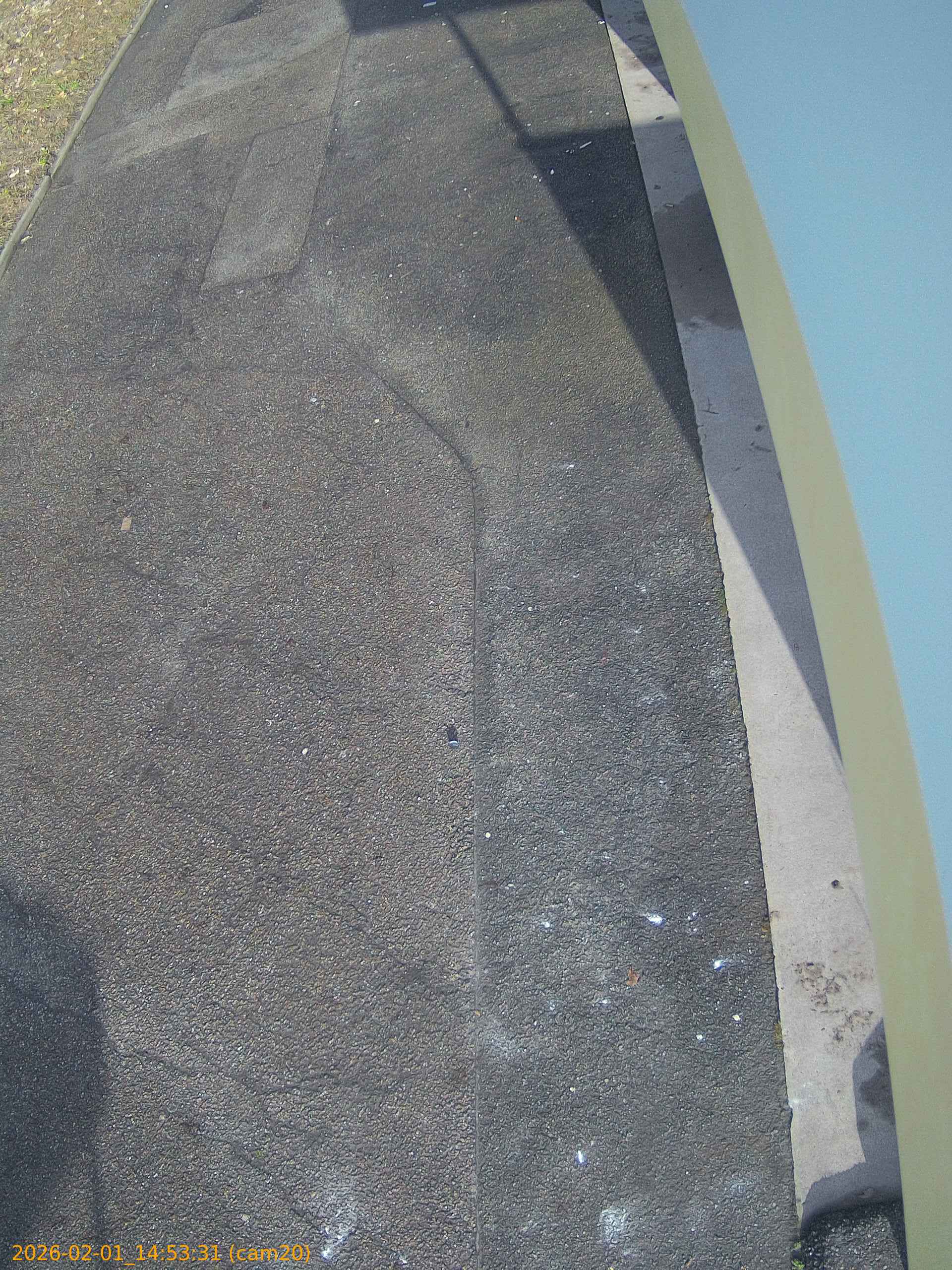 thumbnail_20260201145331