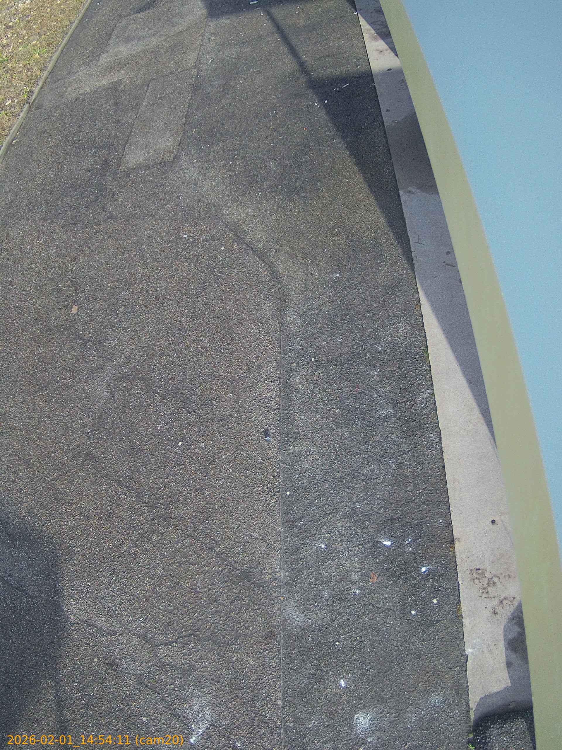 thumbnail_20260201145411