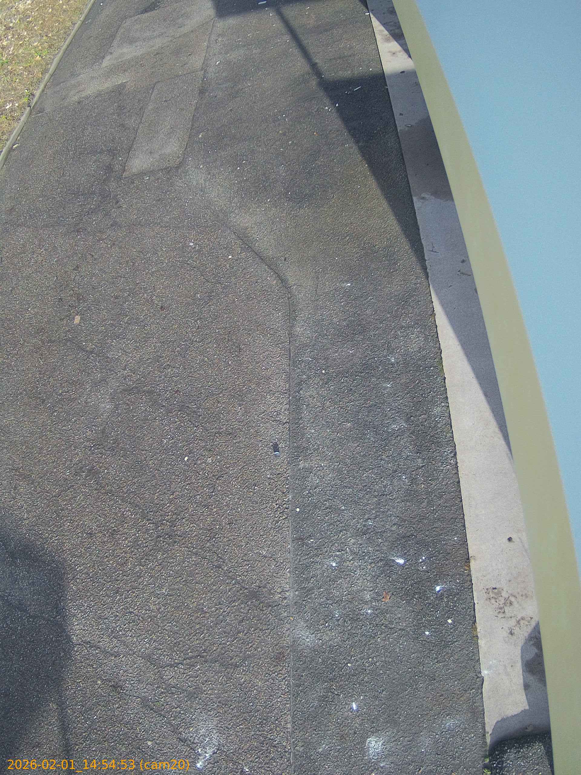 thumbnail_20260201145453