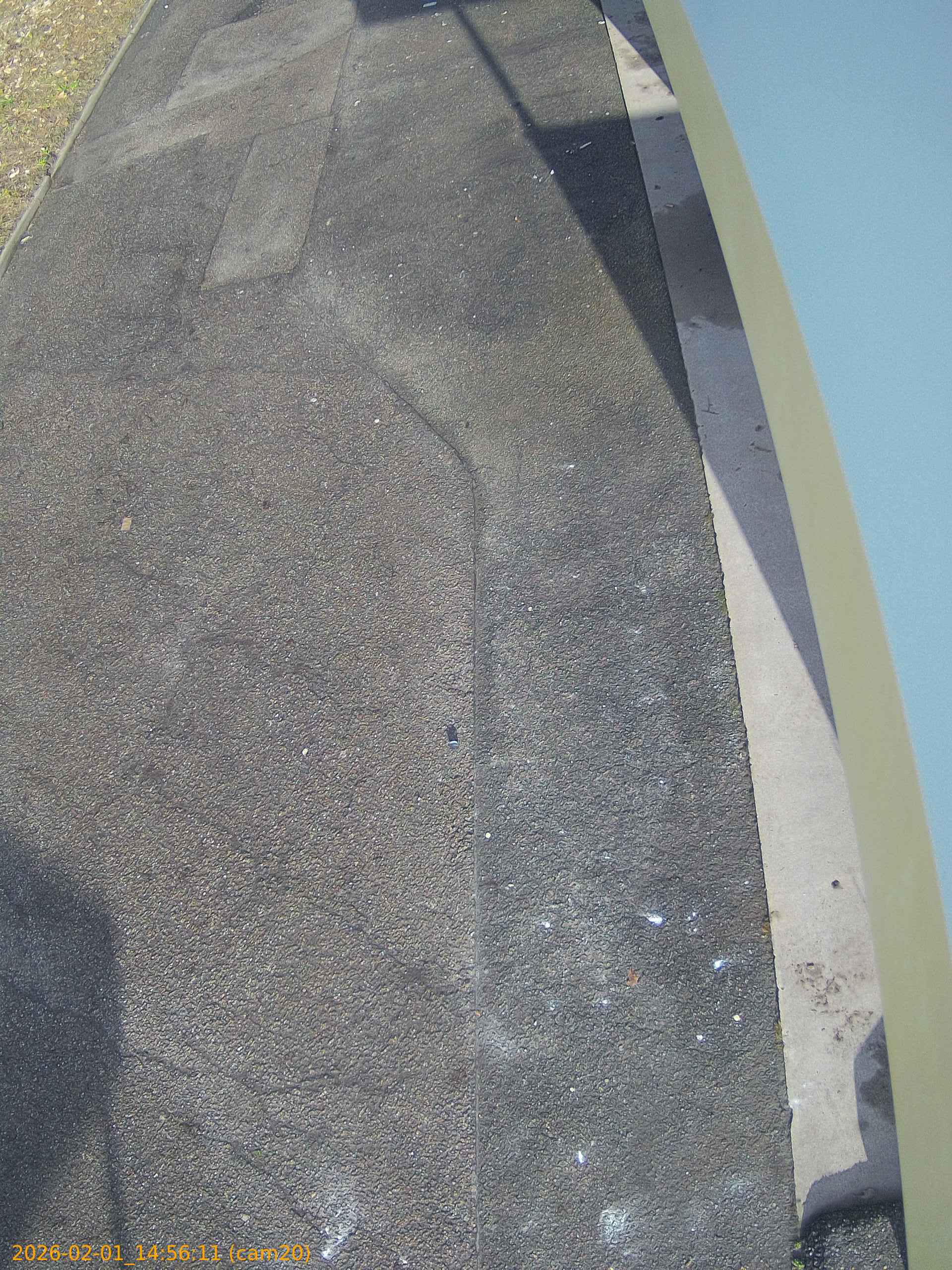 thumbnail_20260201145611