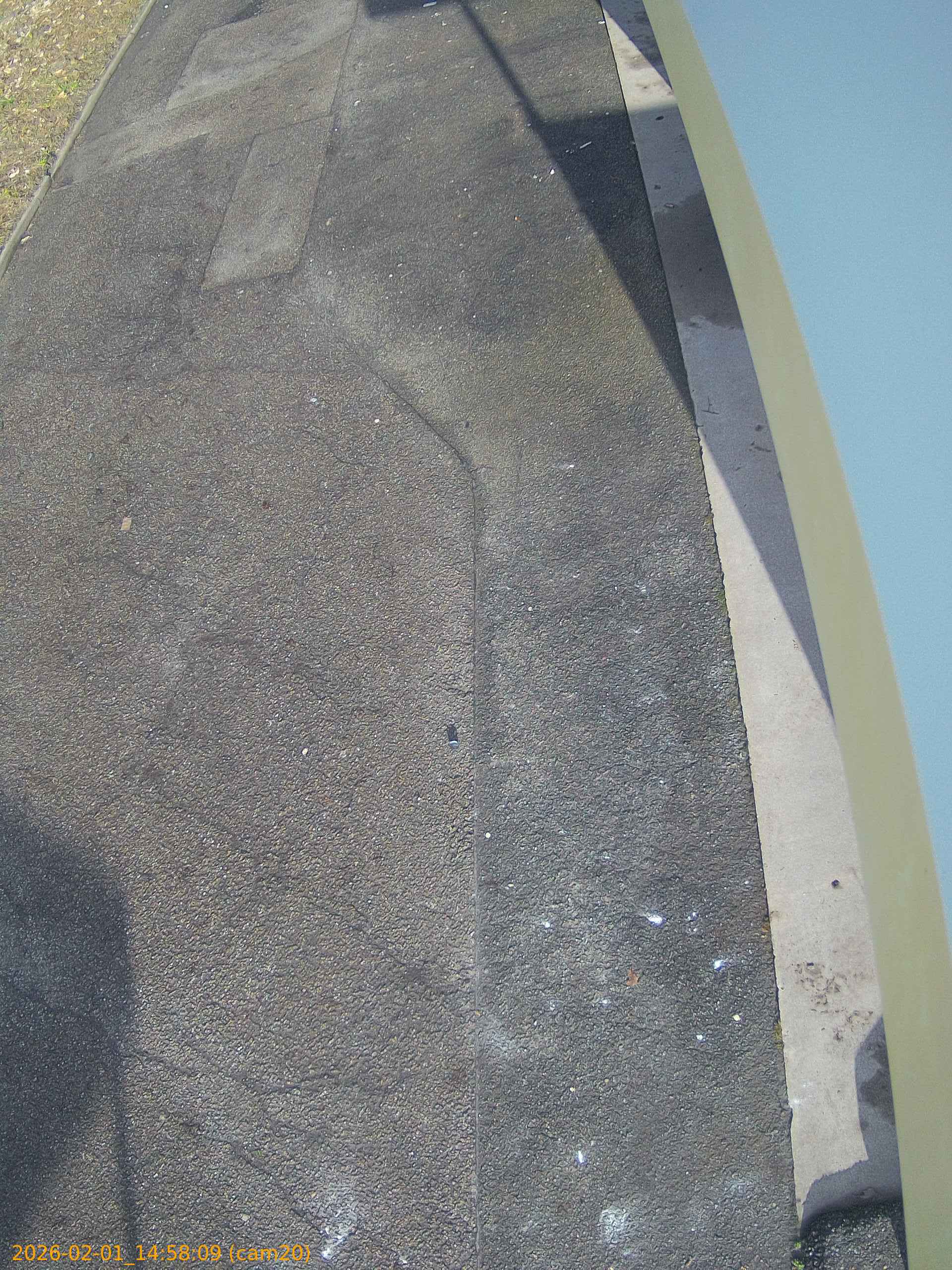 thumbnail_20260201145809