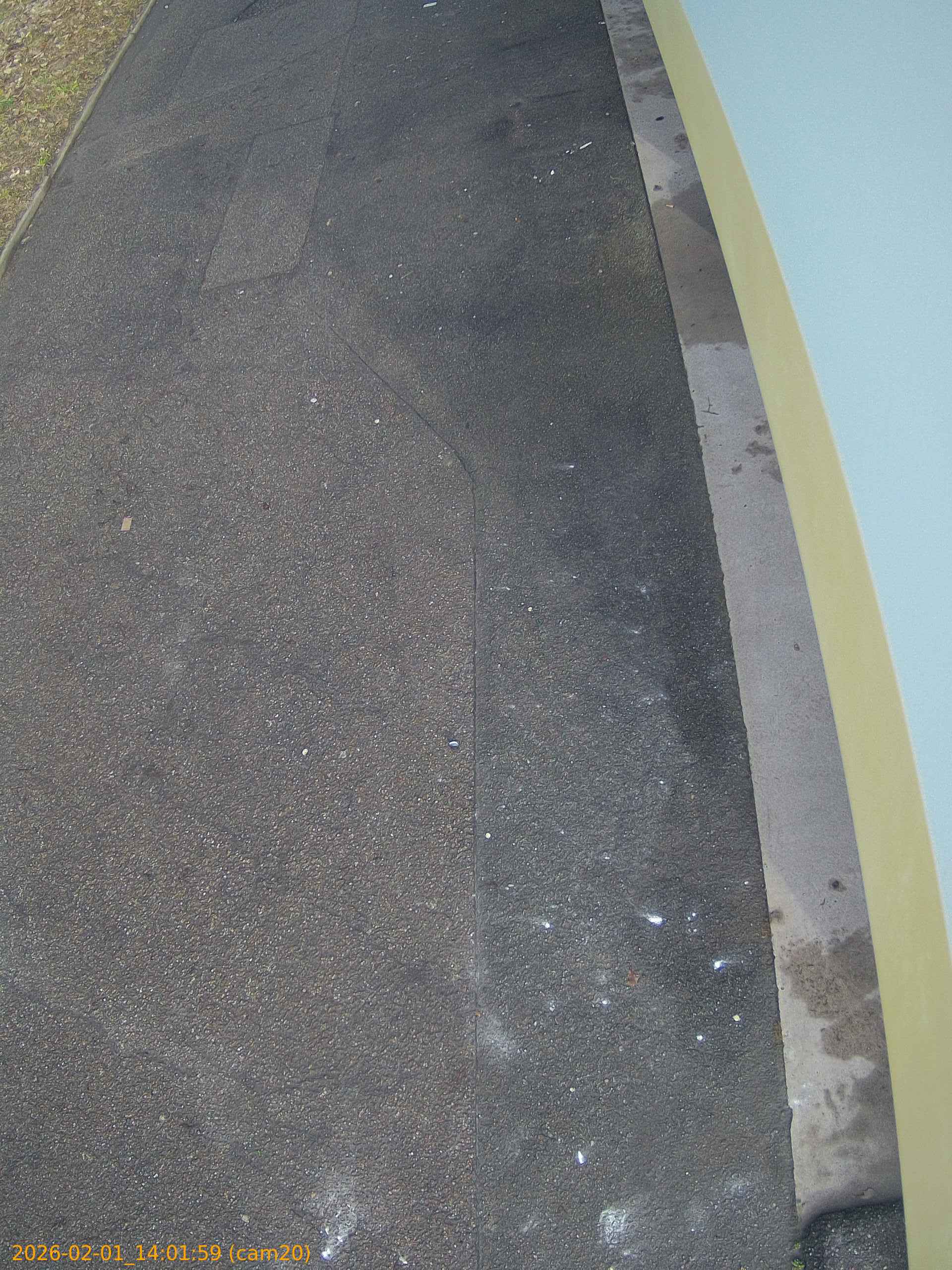 thumbnail_202602011401