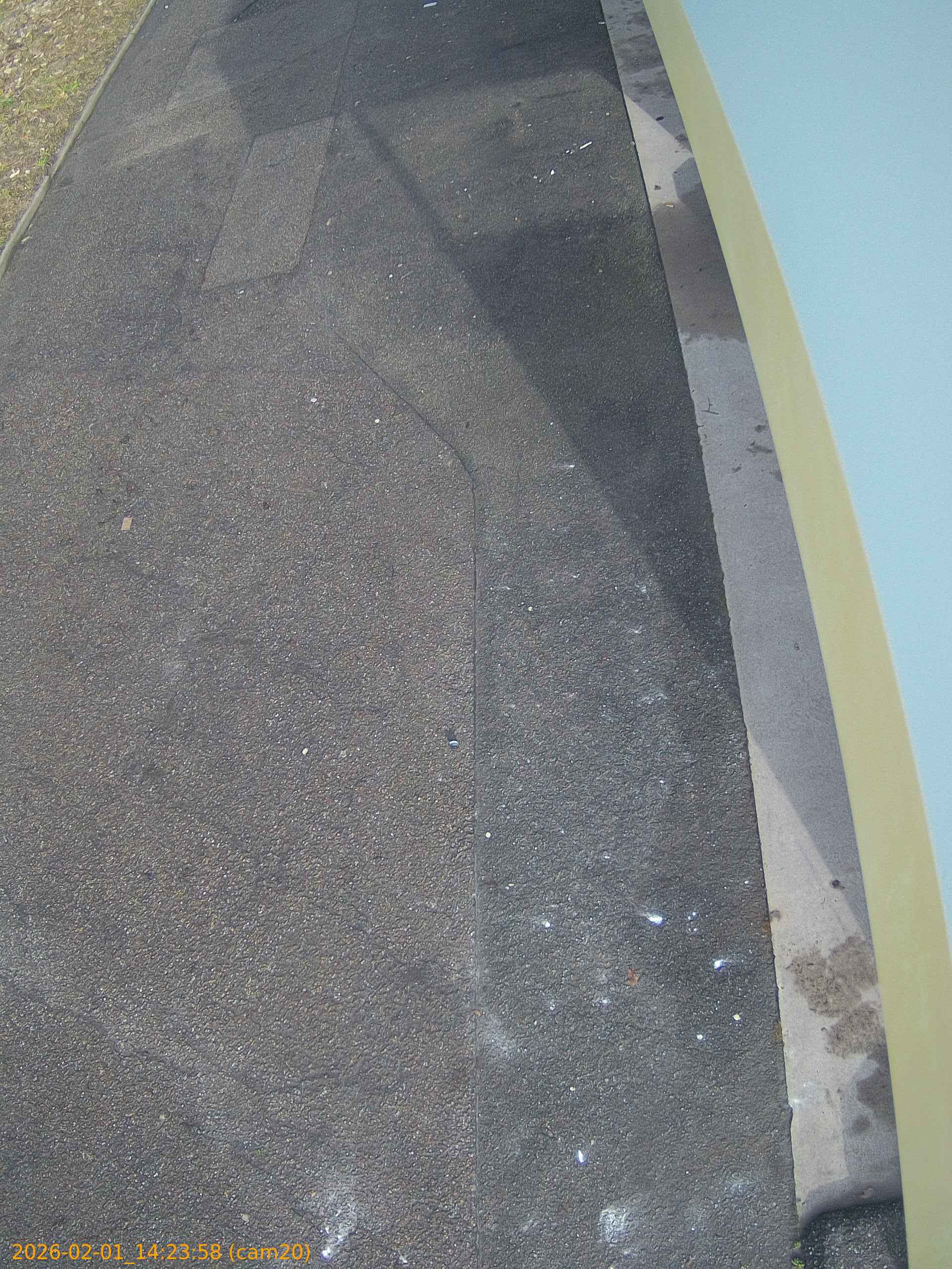 thumbnail_202602011423