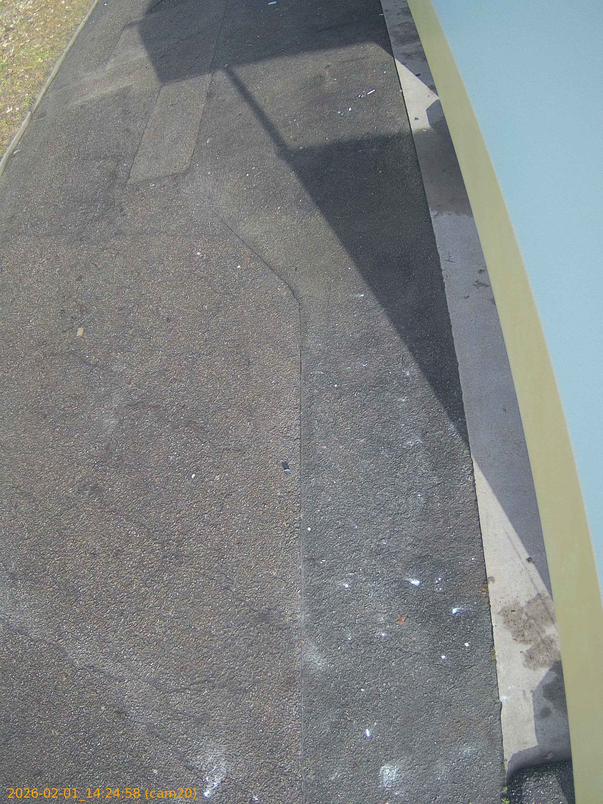 thumbnail_202602011424