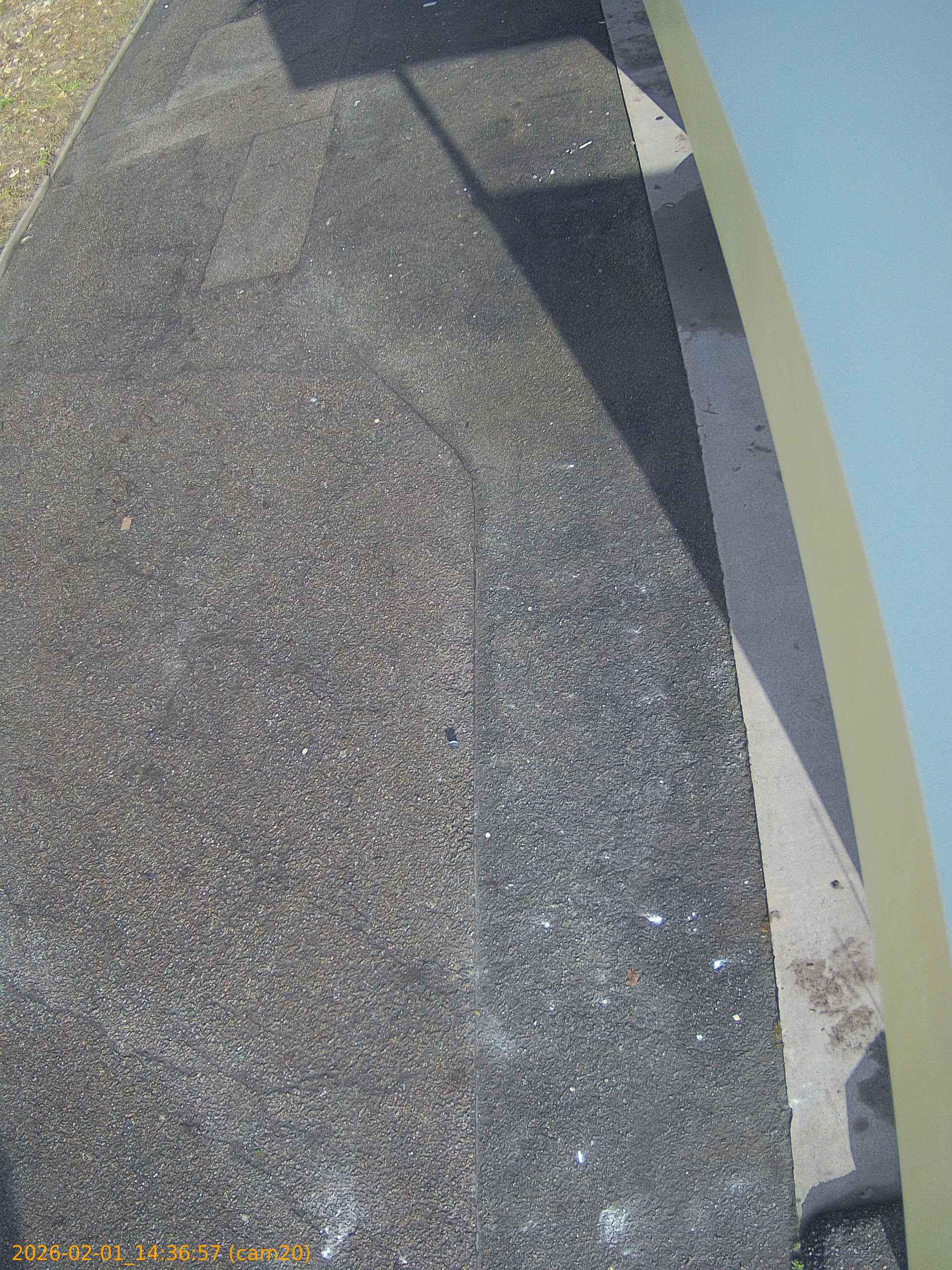 thumbnail_202602011436