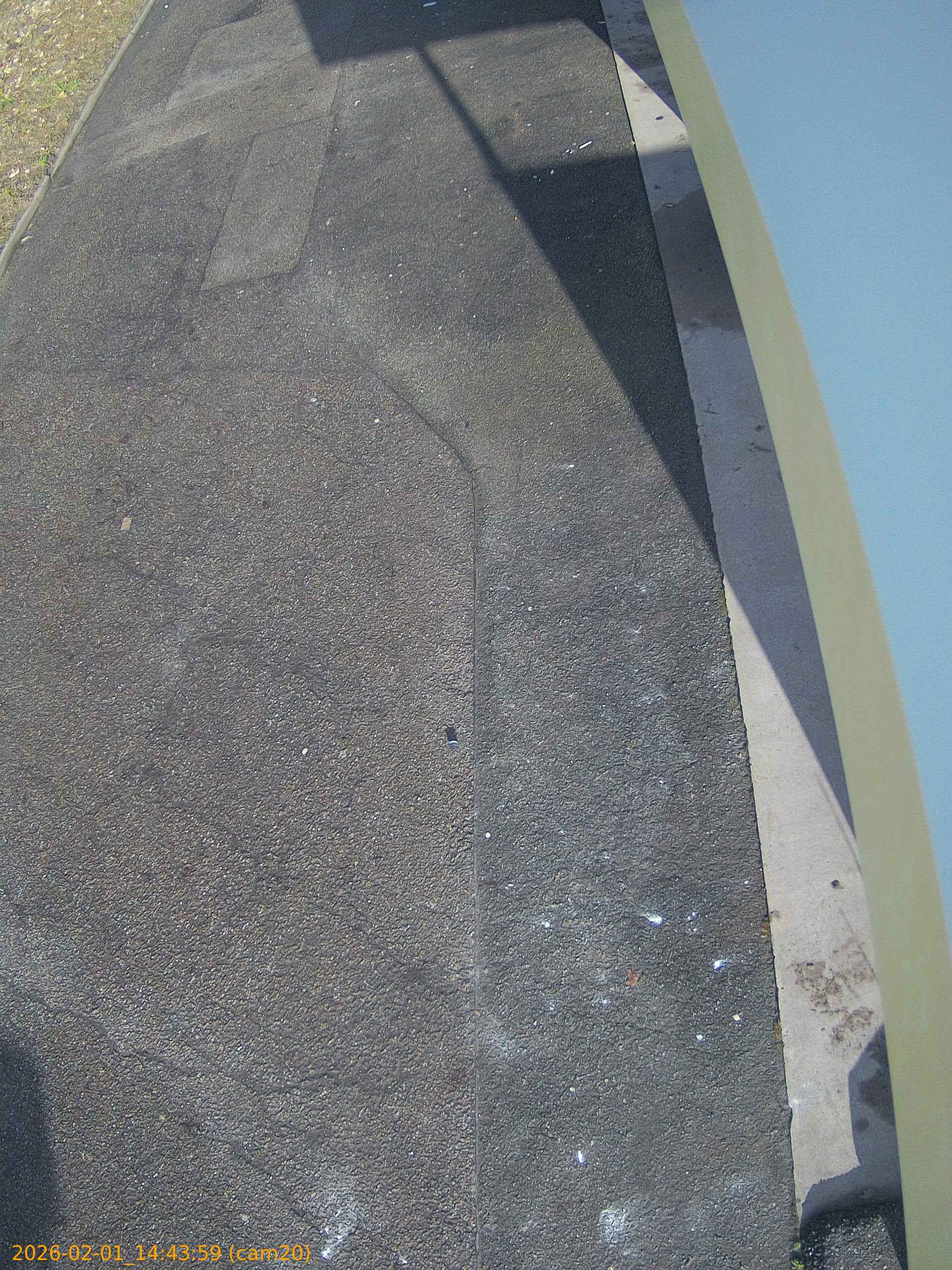 thumbnail_202602011443