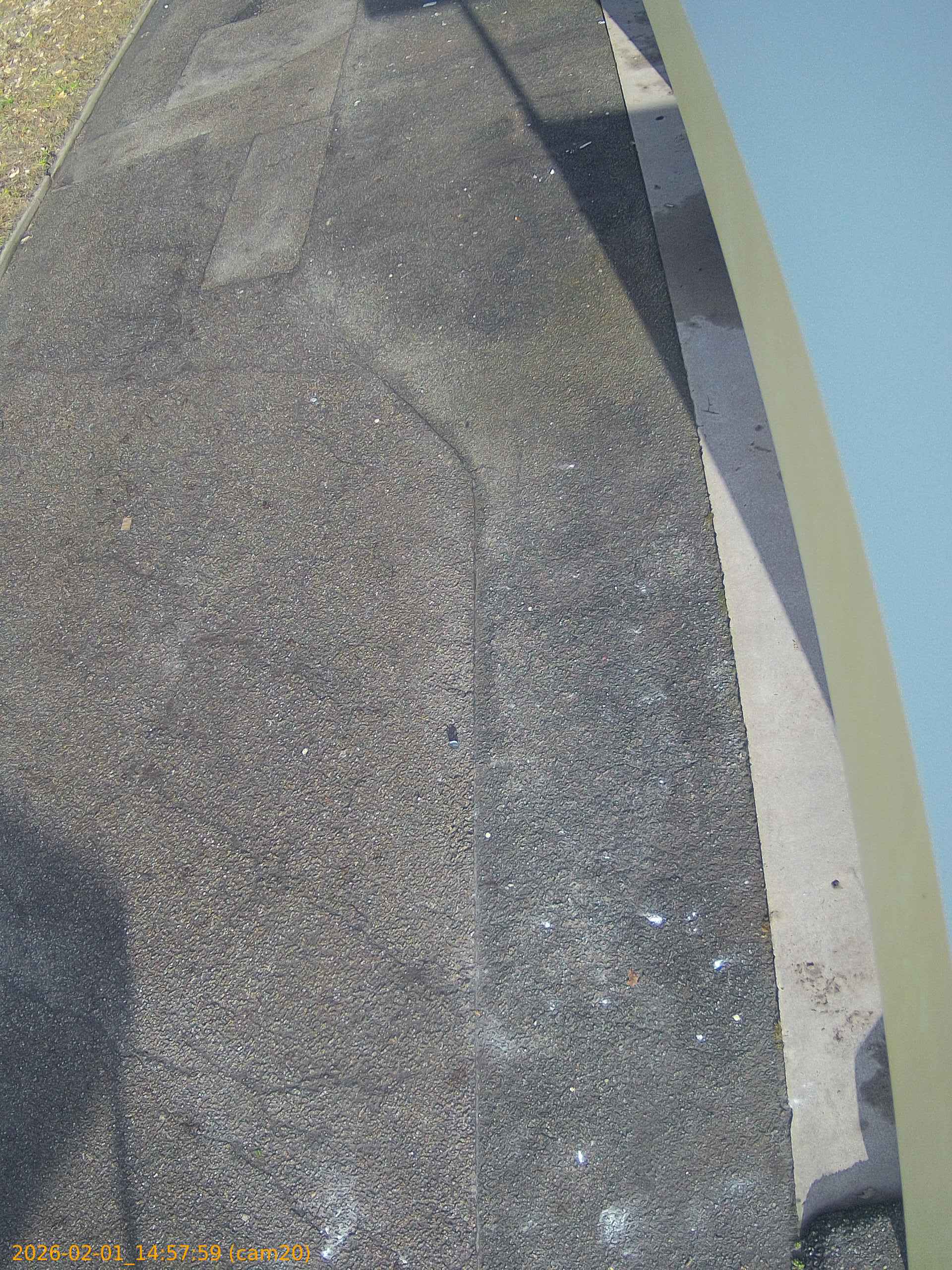 thumbnail_202602011457