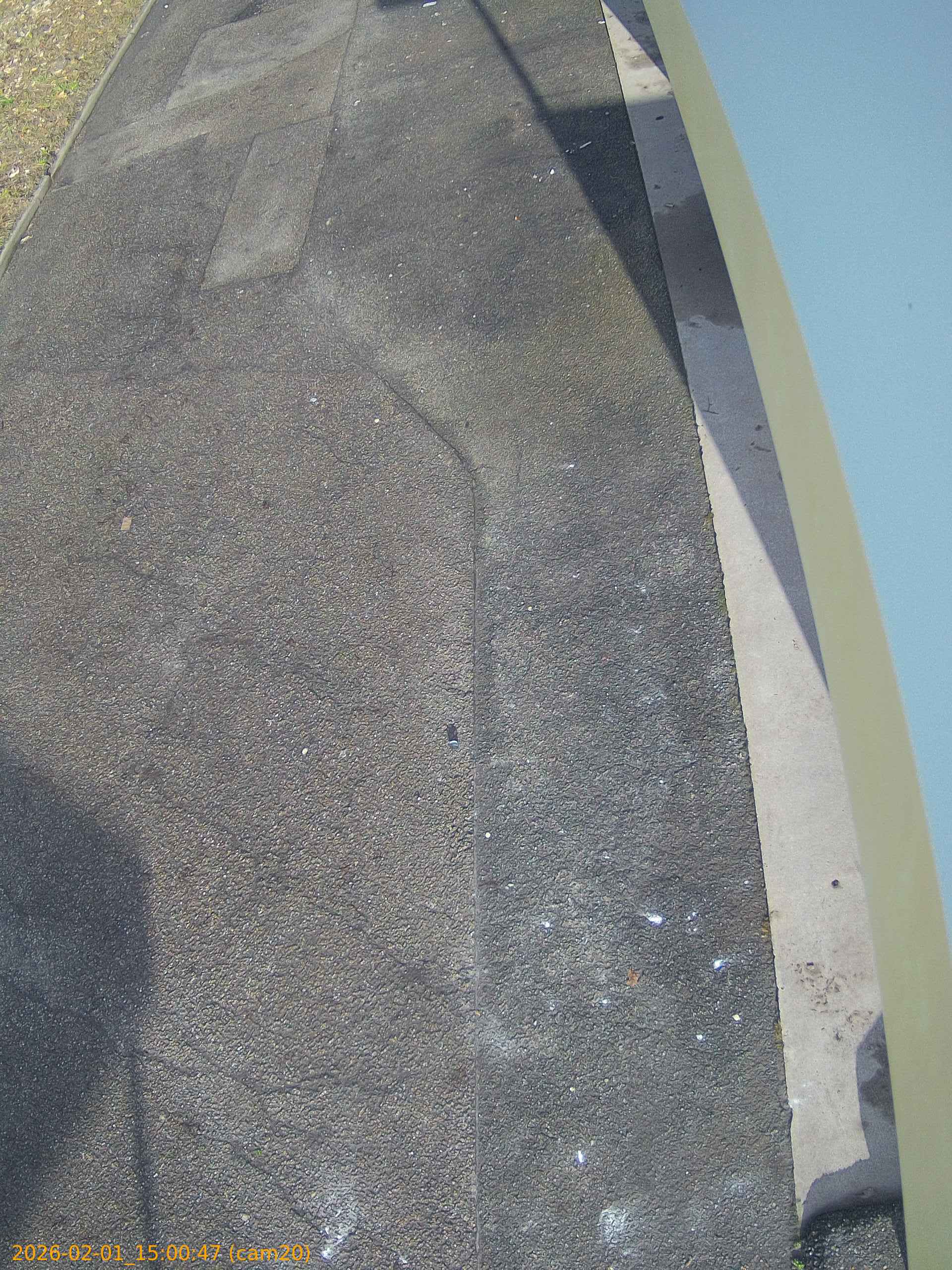 thumbnail_20260201150047