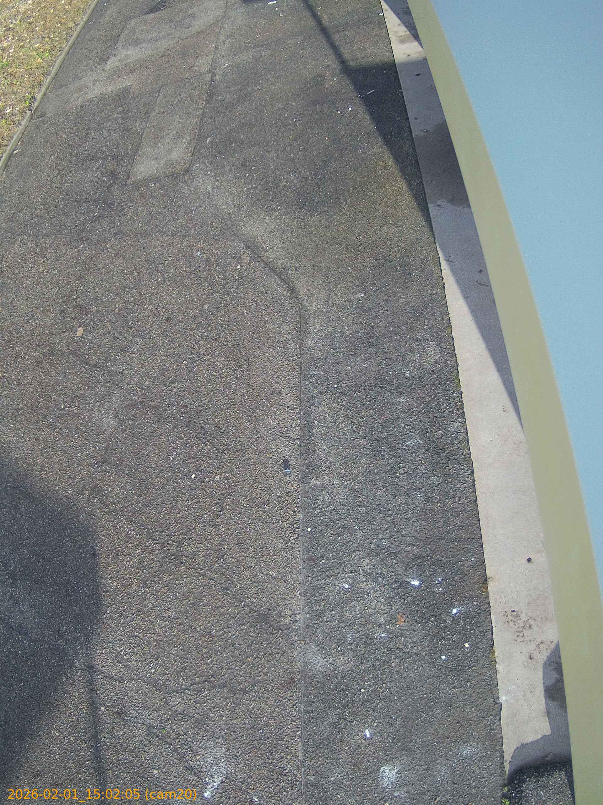 thumbnail_20260201150205