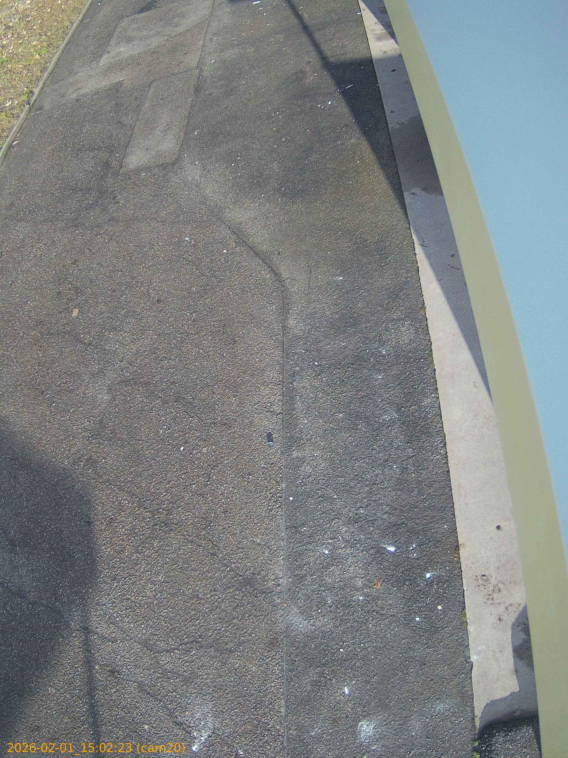 thumbnail_20260201150223