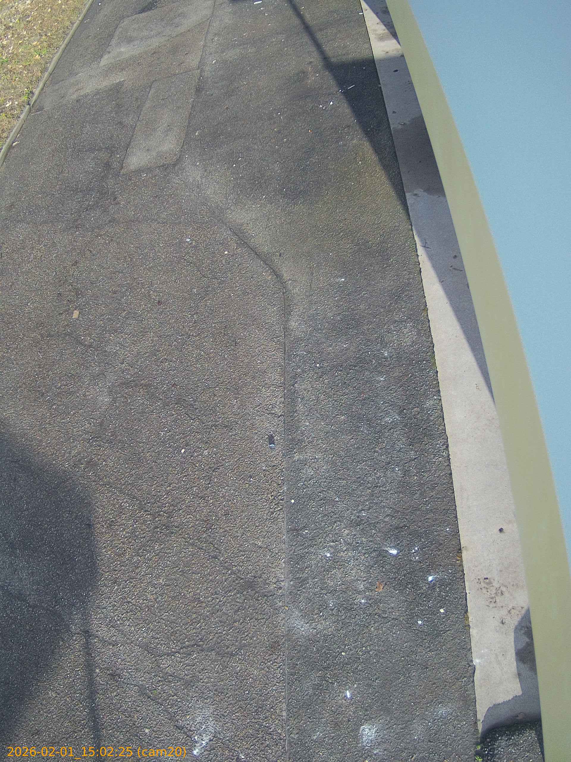 thumbnail_20260201150225