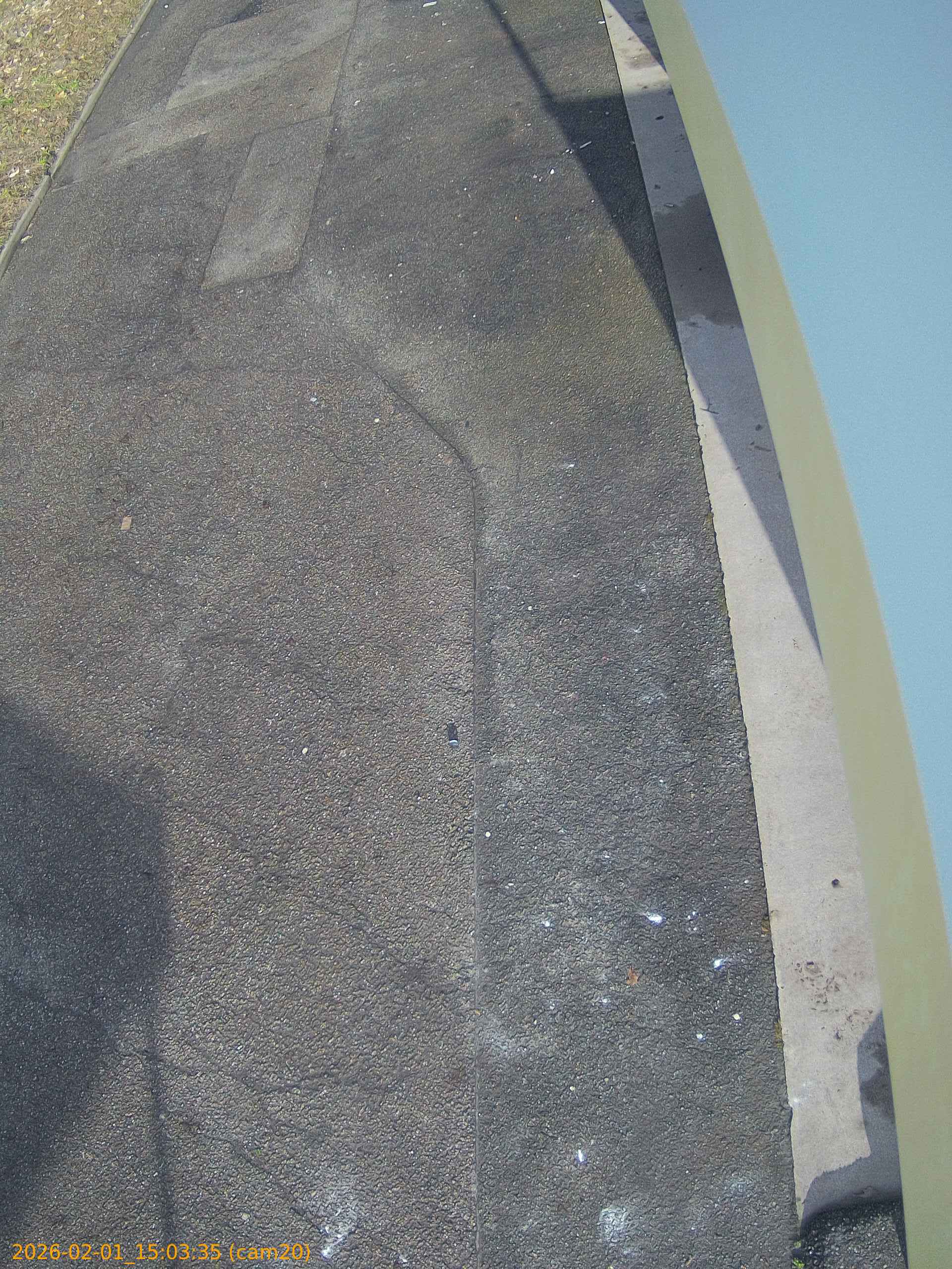 thumbnail_20260201150335