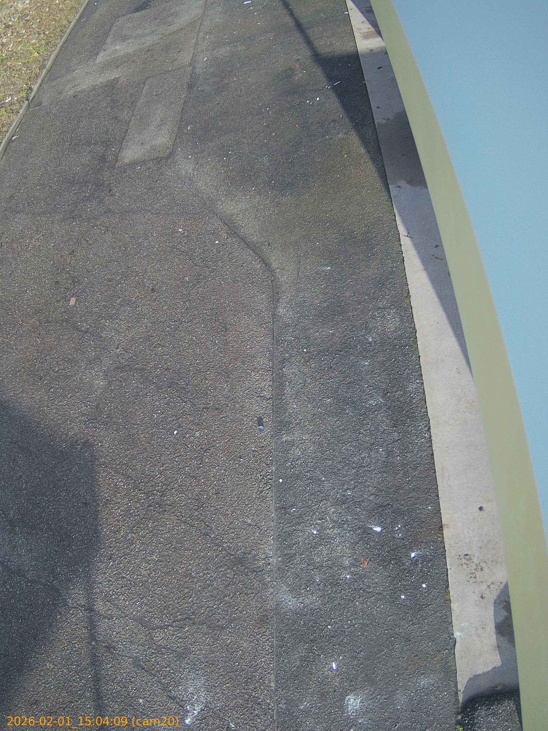 thumbnail_20260201150409