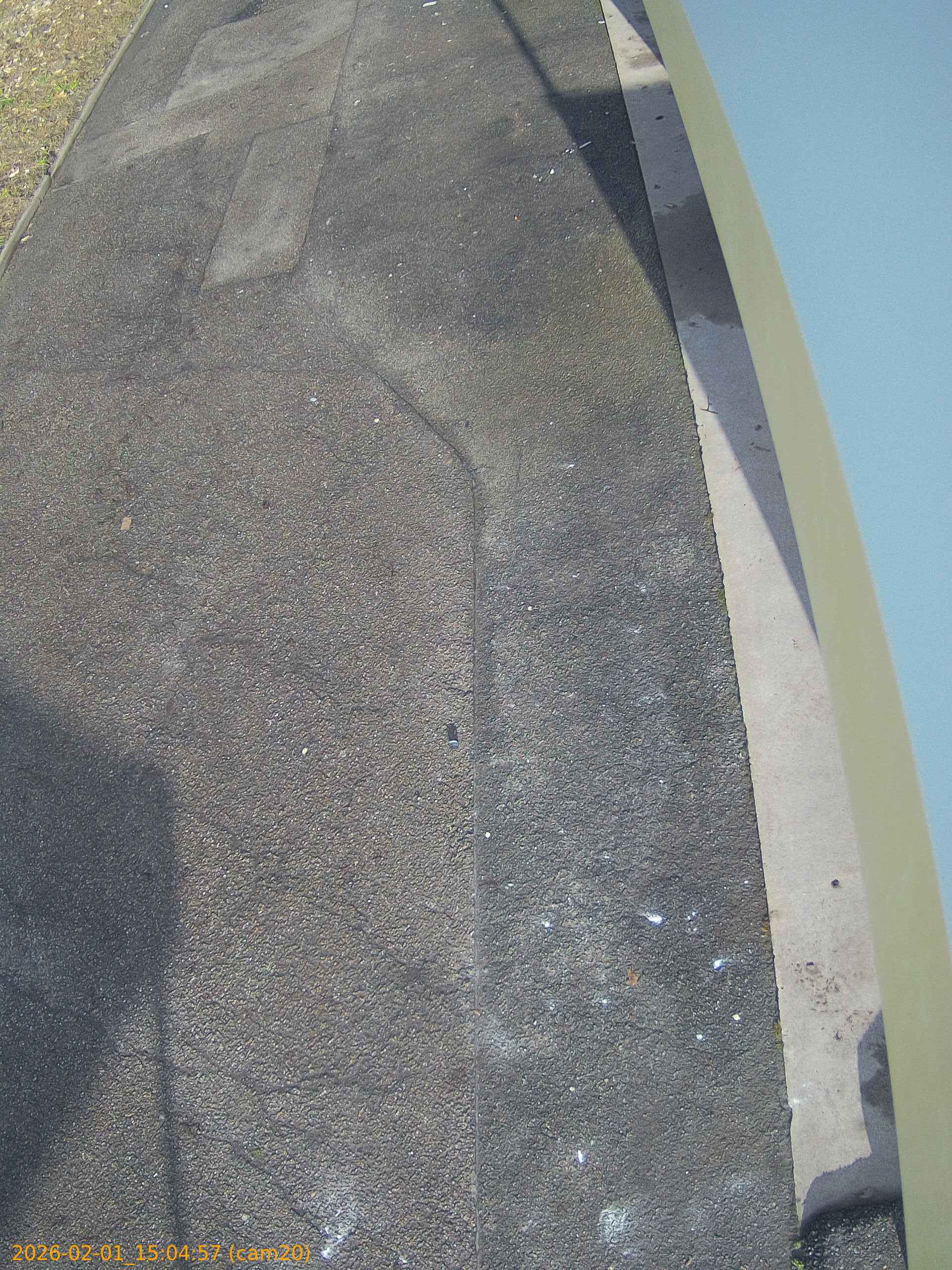 thumbnail_20260201150457