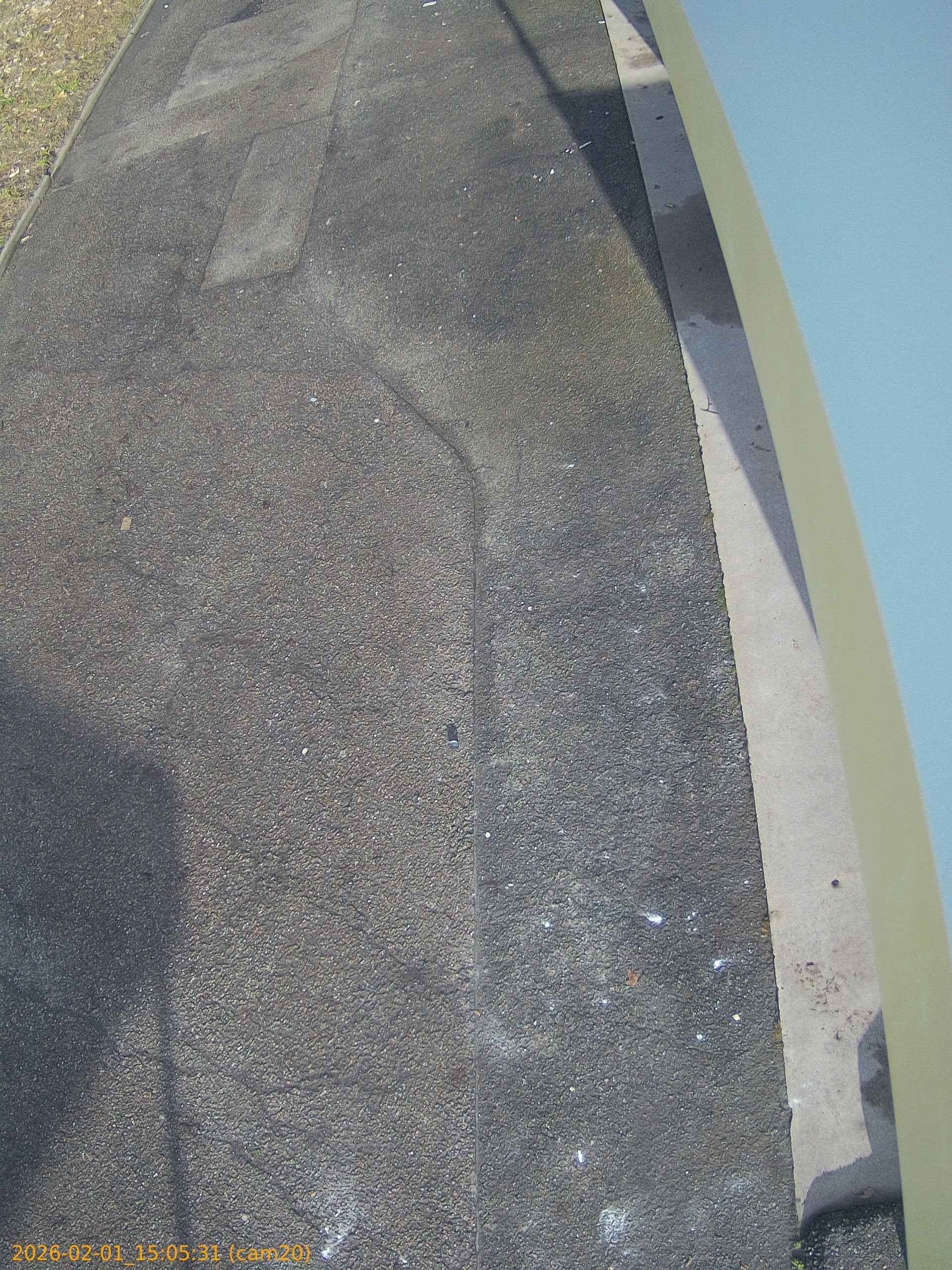 thumbnail_20260201150531