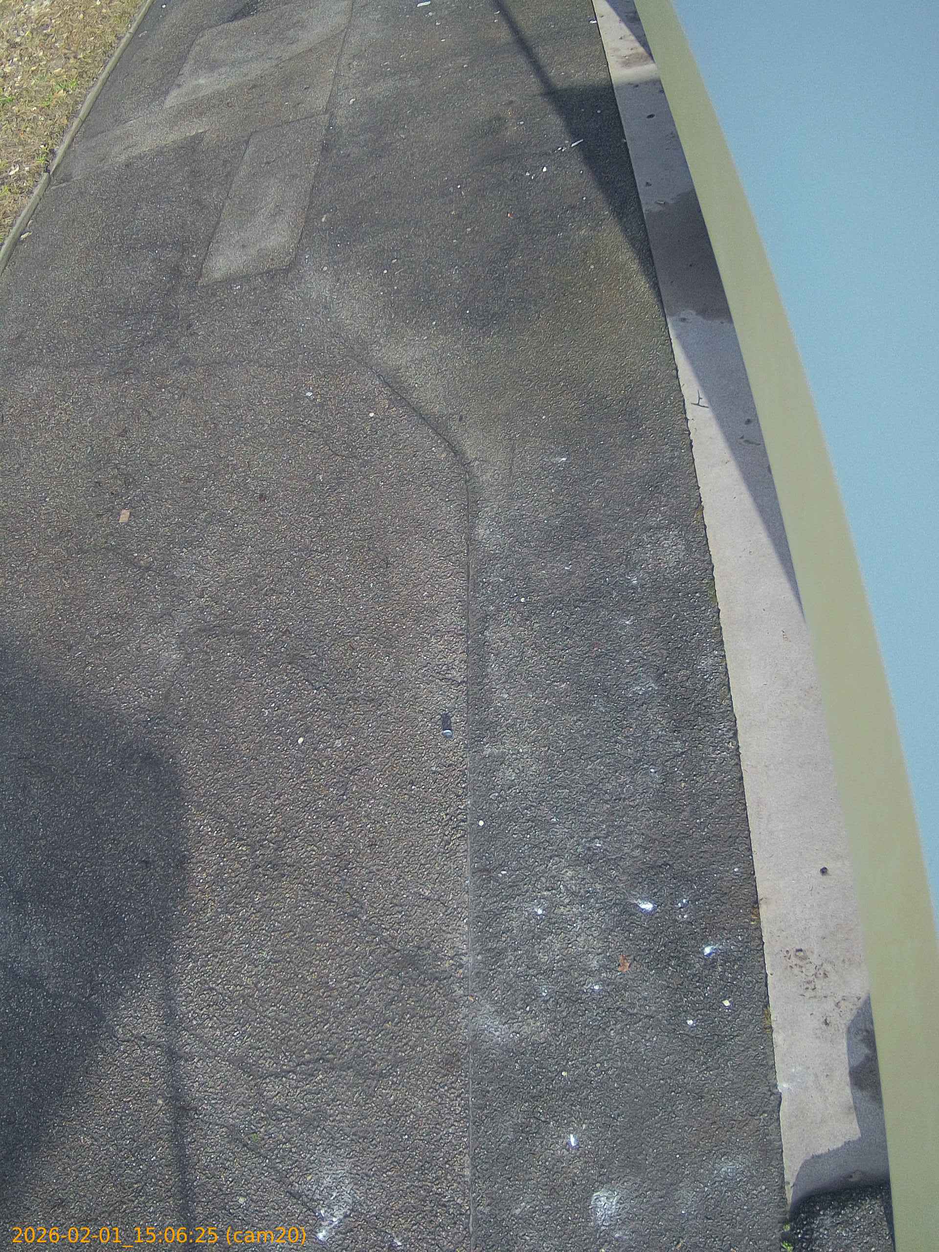 thumbnail_20260201150625