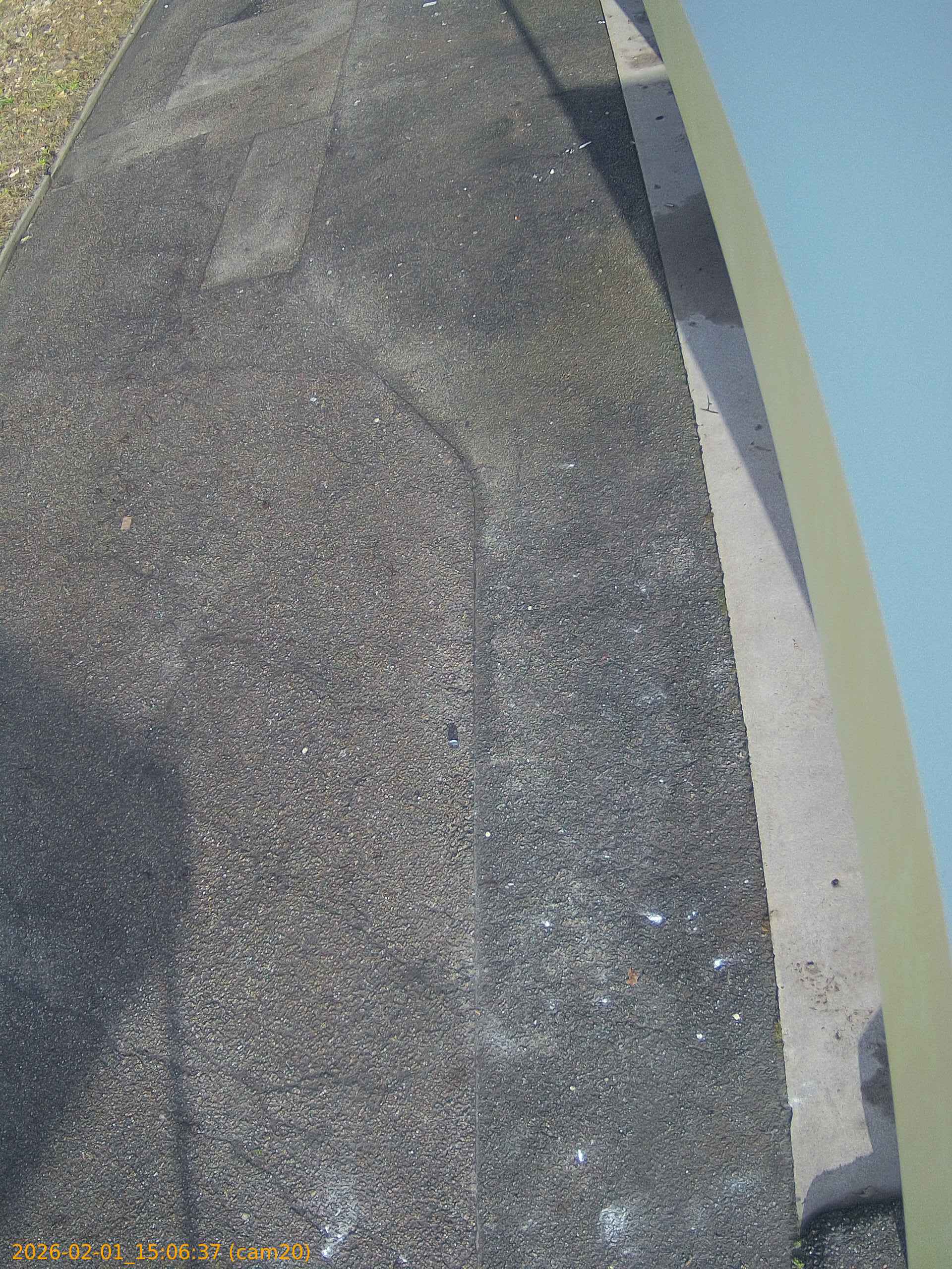 thumbnail_20260201150637