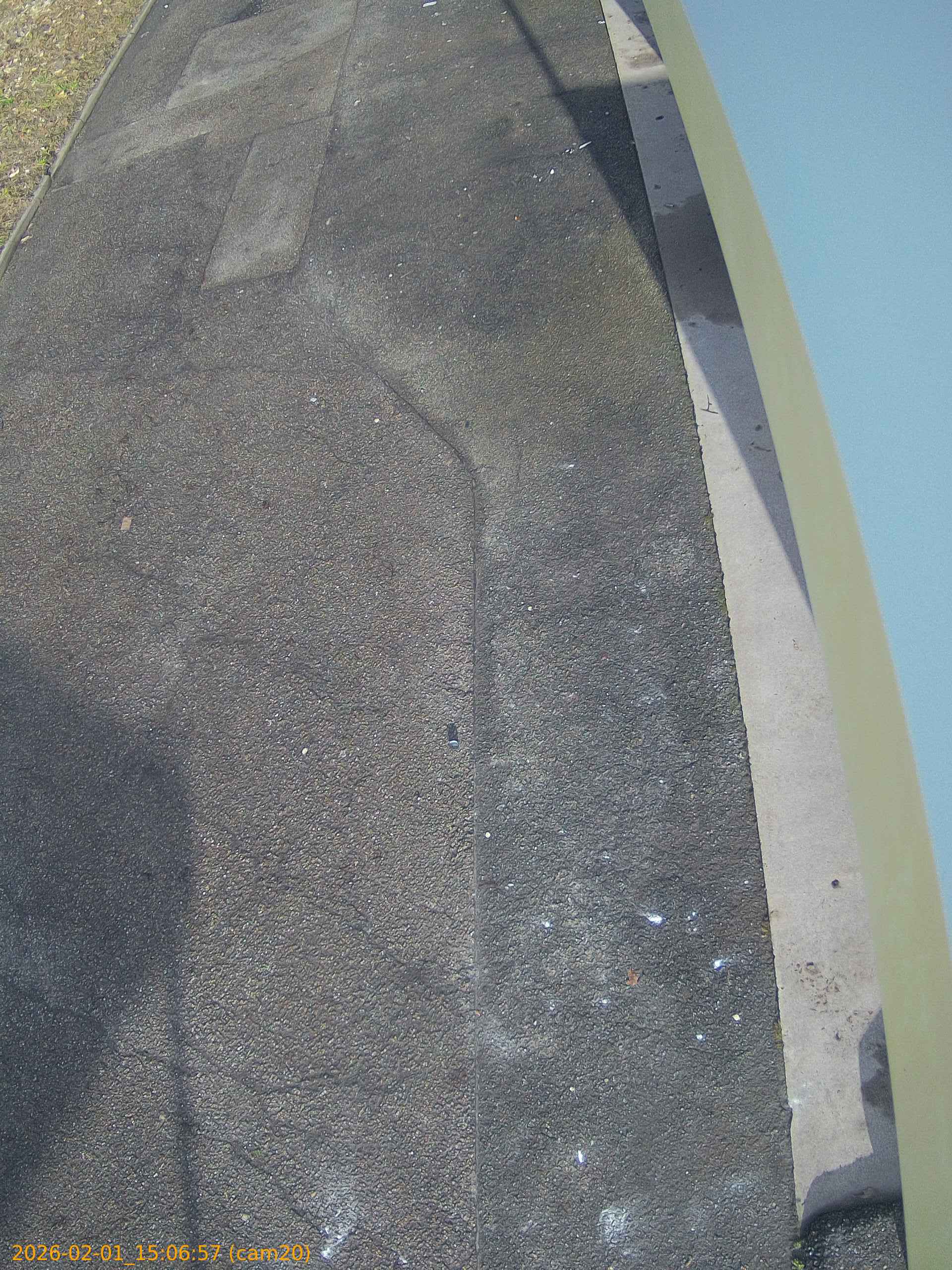 thumbnail_20260201150657