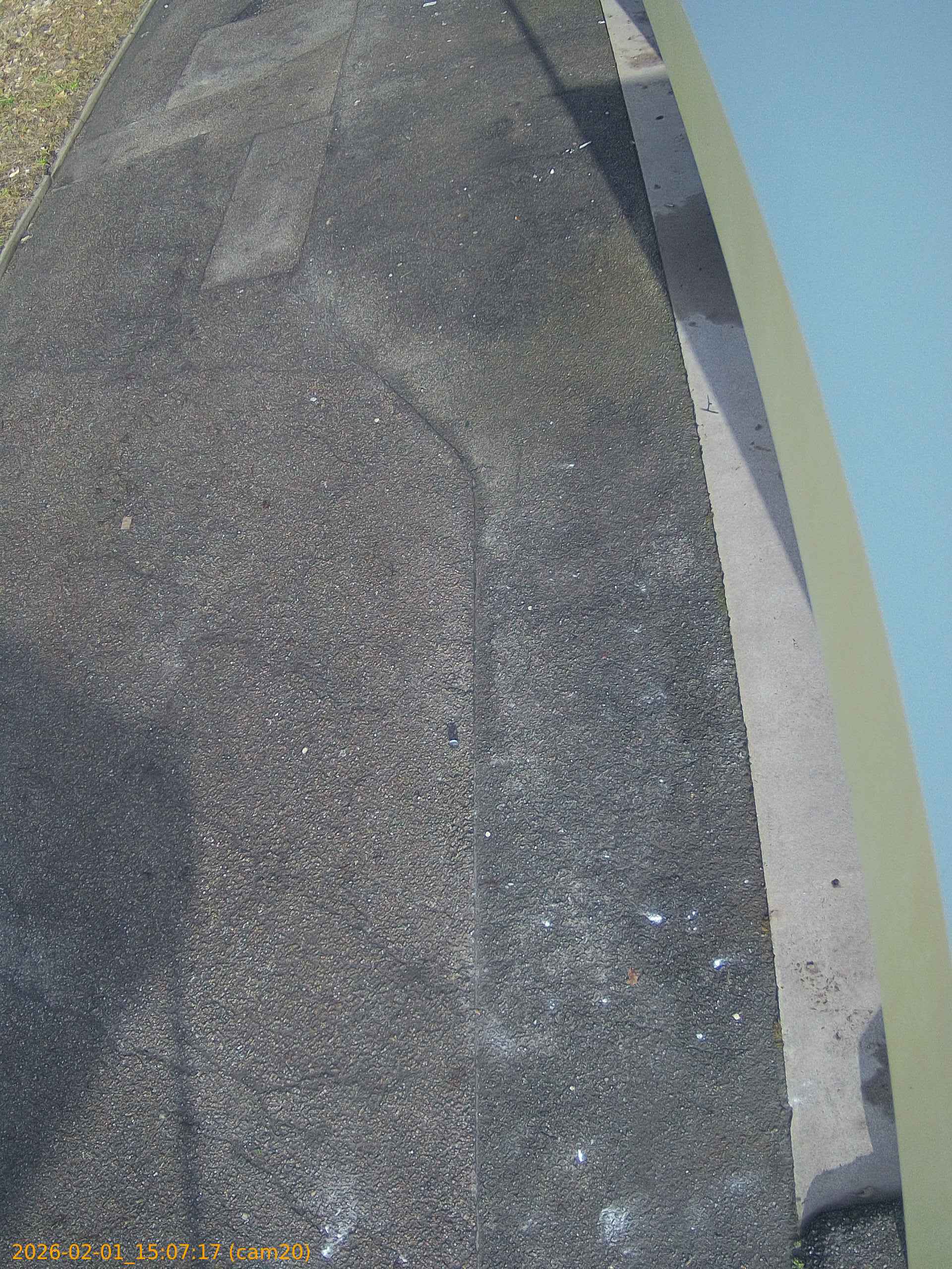 thumbnail_20260201150717