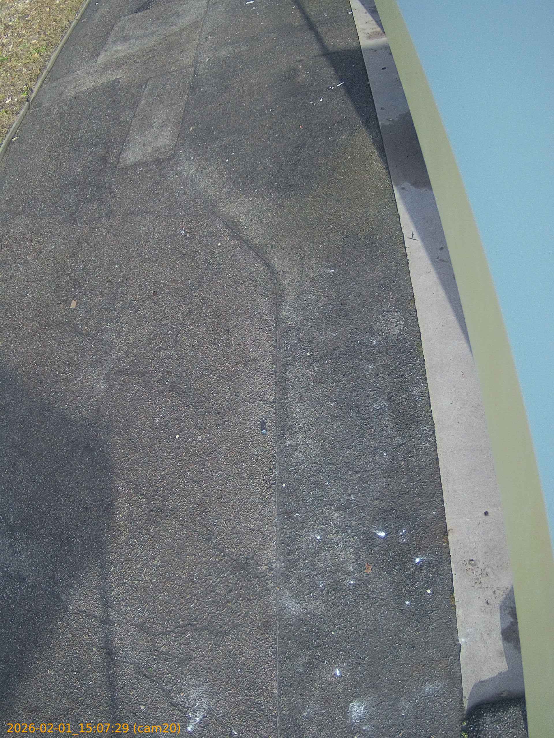 thumbnail_20260201150729