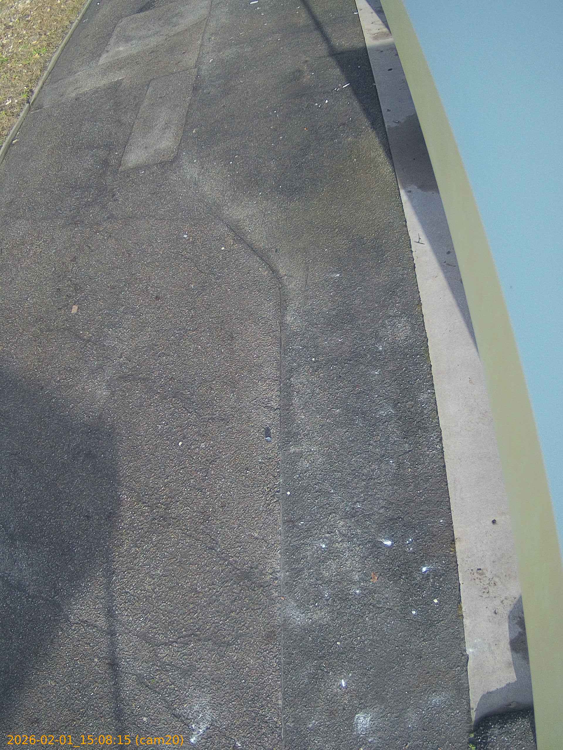 thumbnail_20260201150815