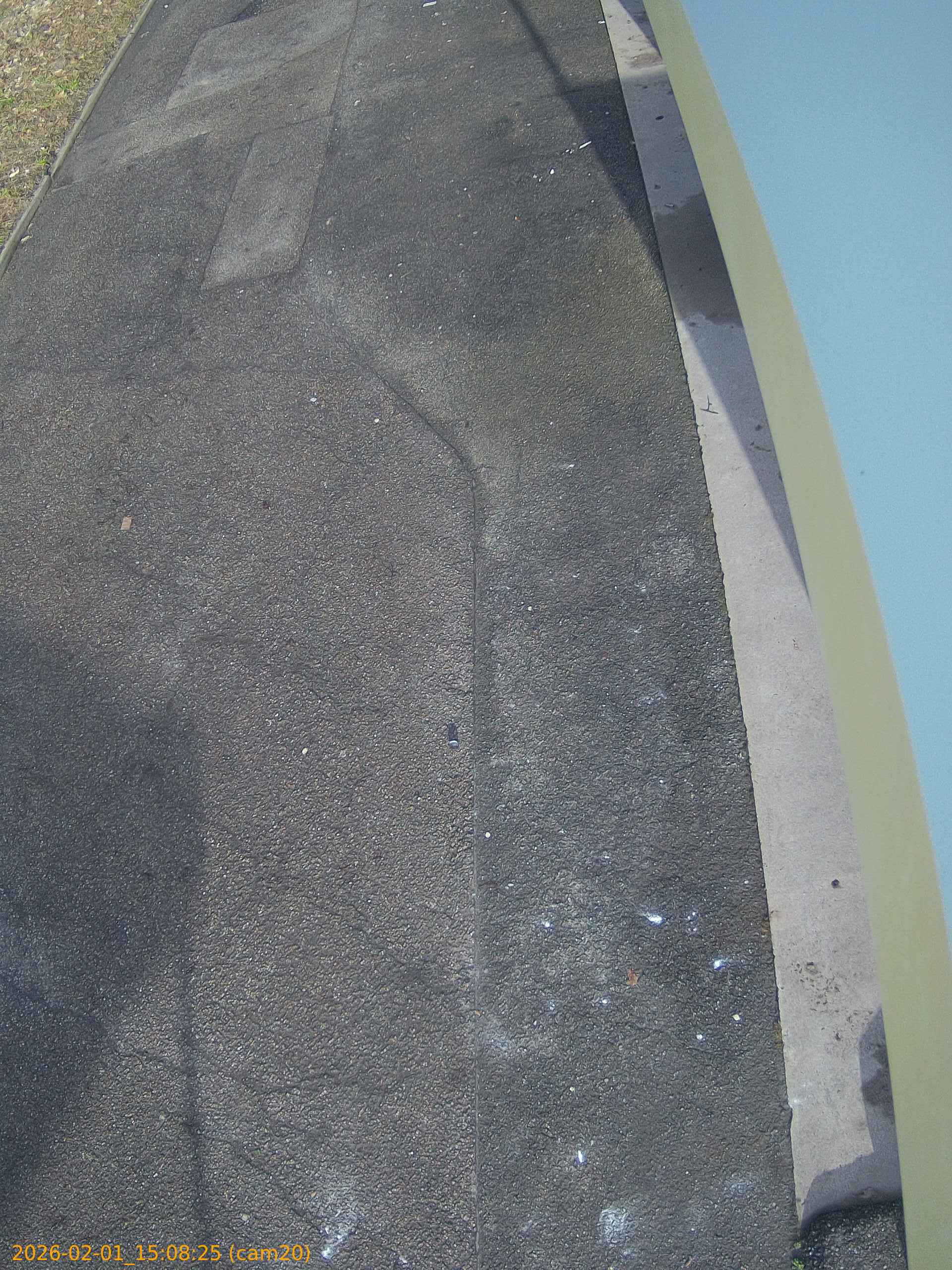 thumbnail_20260201150825