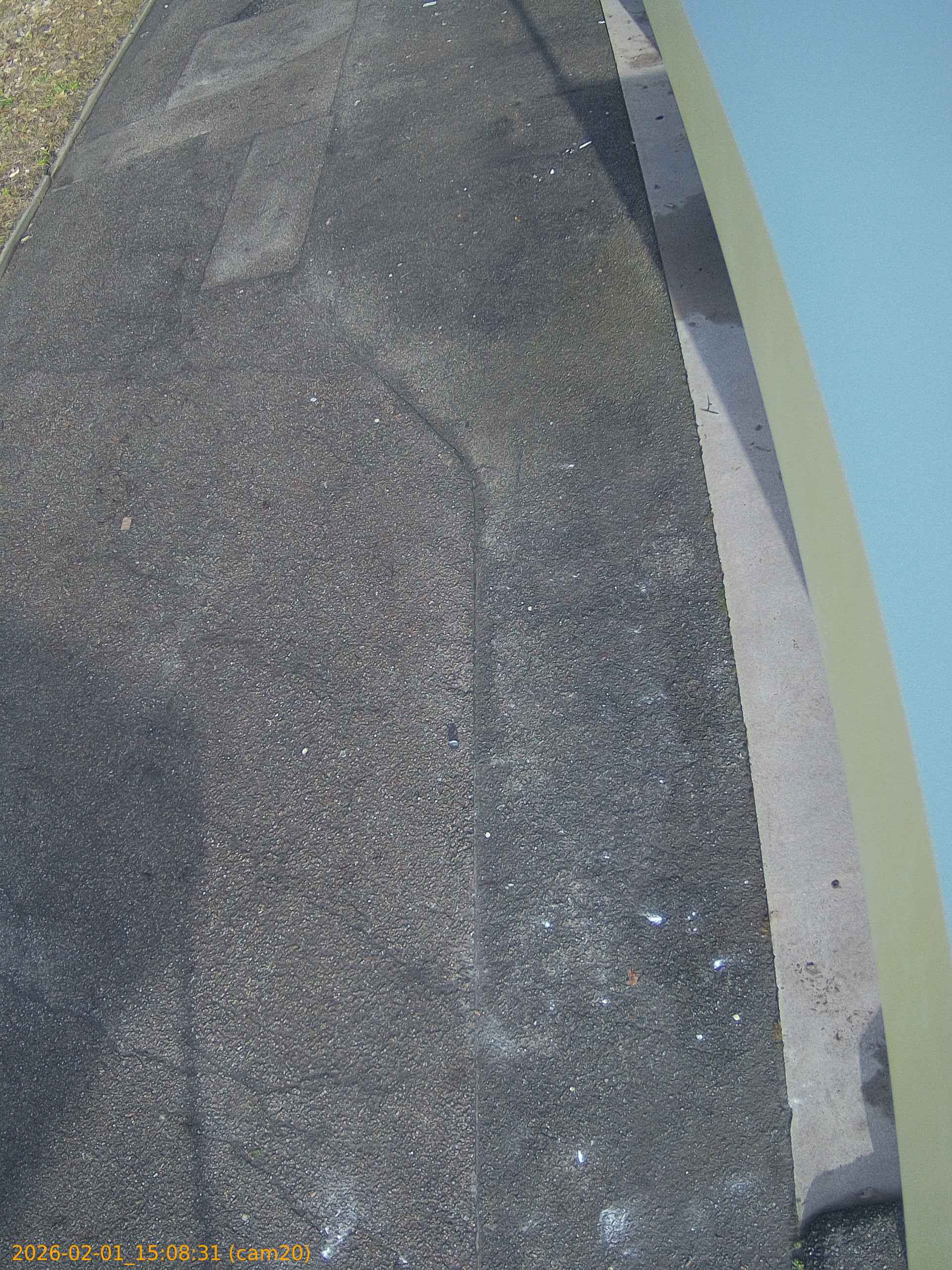 thumbnail_20260201150831