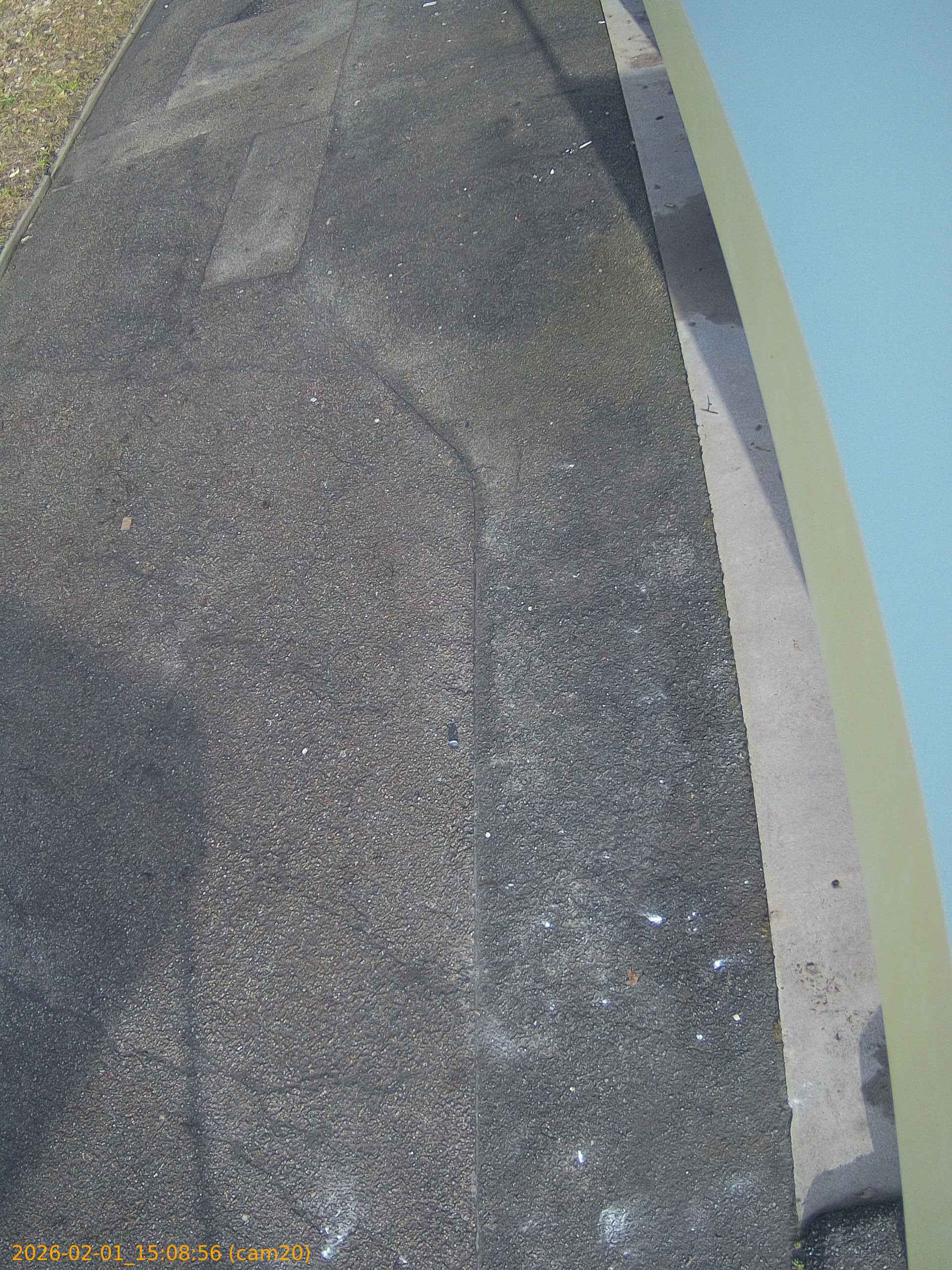 thumbnail_20260201150856