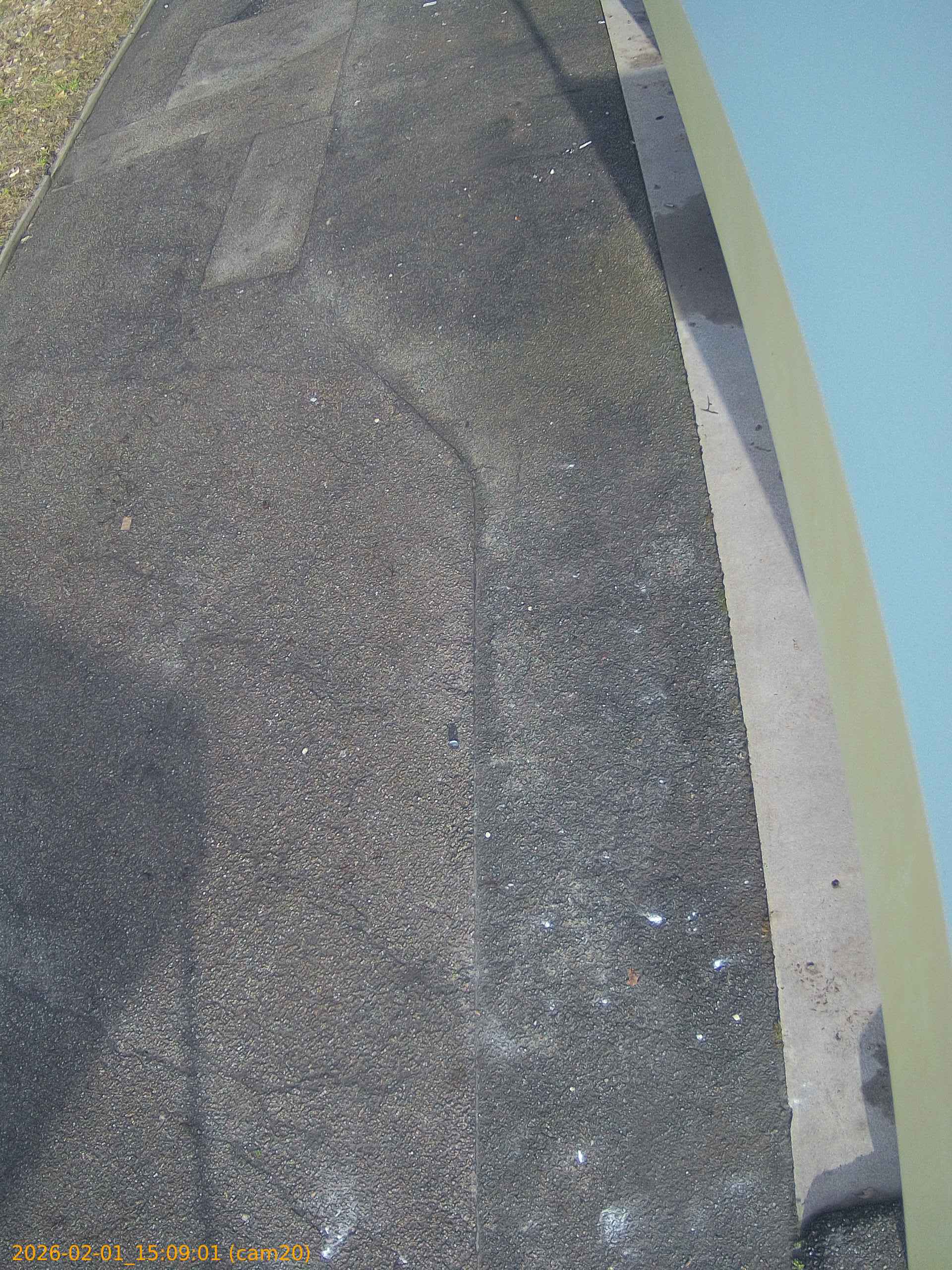 thumbnail_20260201150901