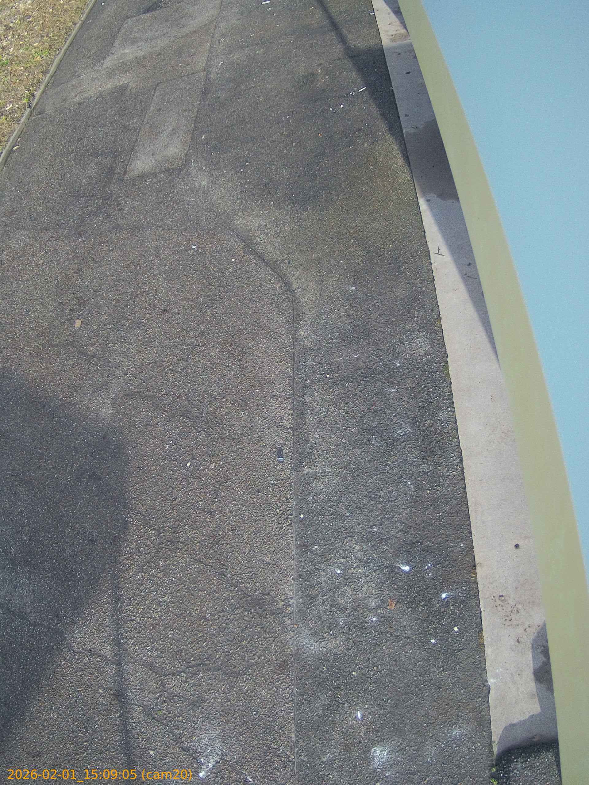 thumbnail_20260201150904