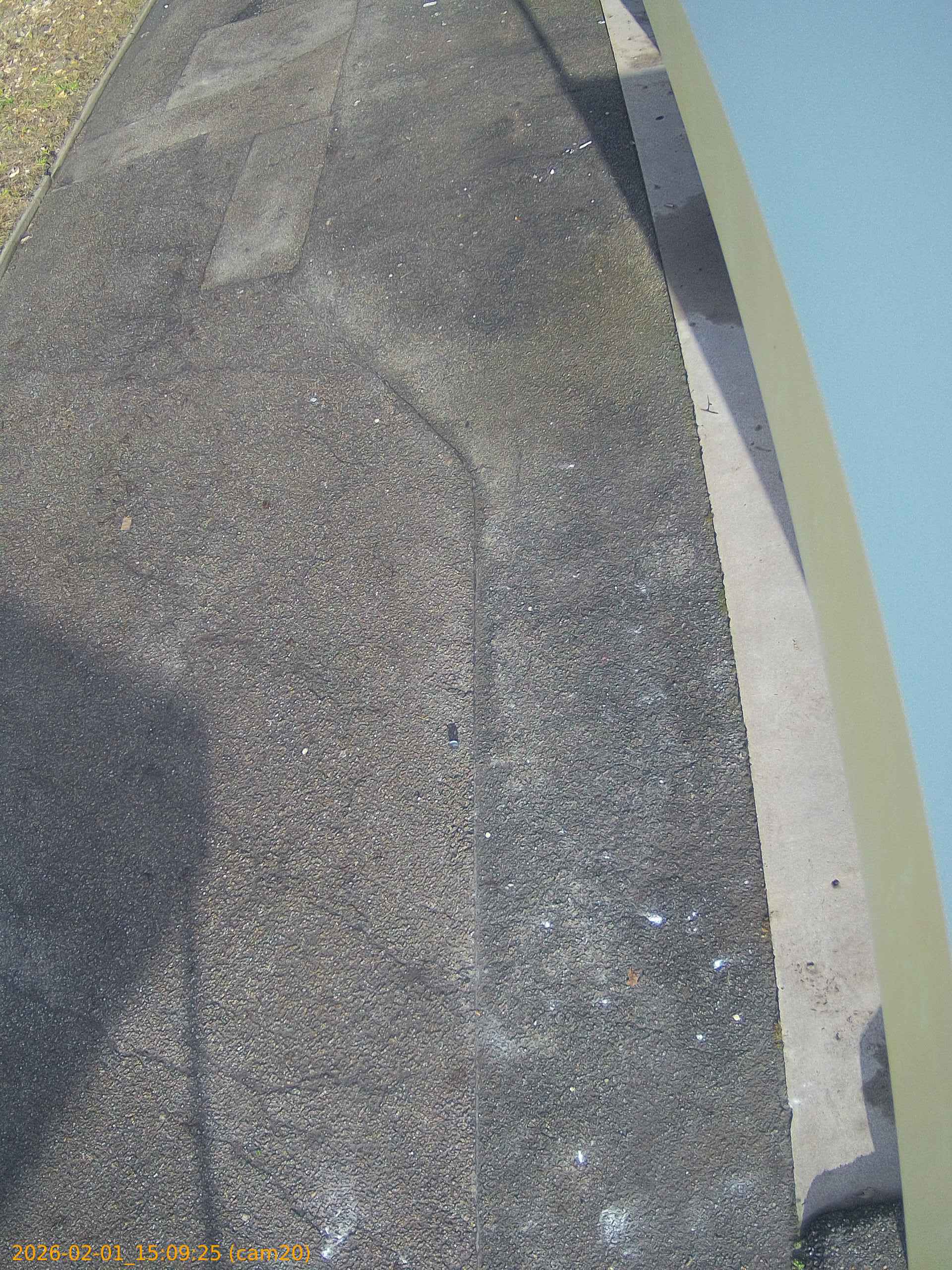 thumbnail_20260201150924