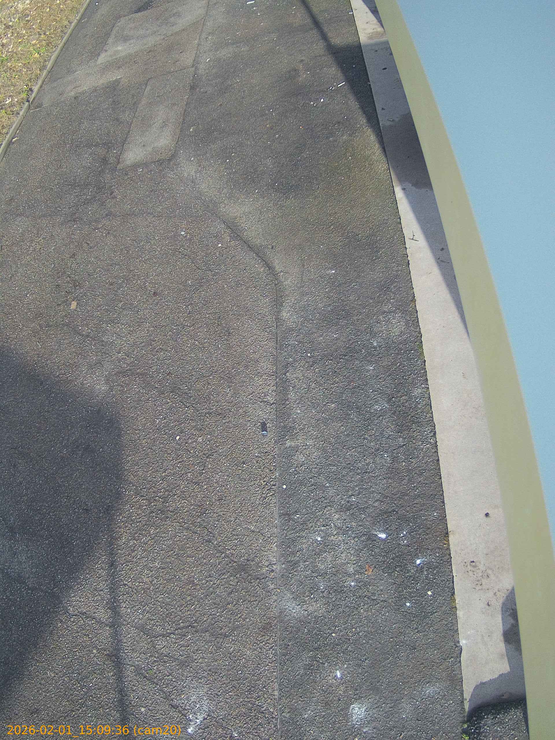 thumbnail_20260201150936