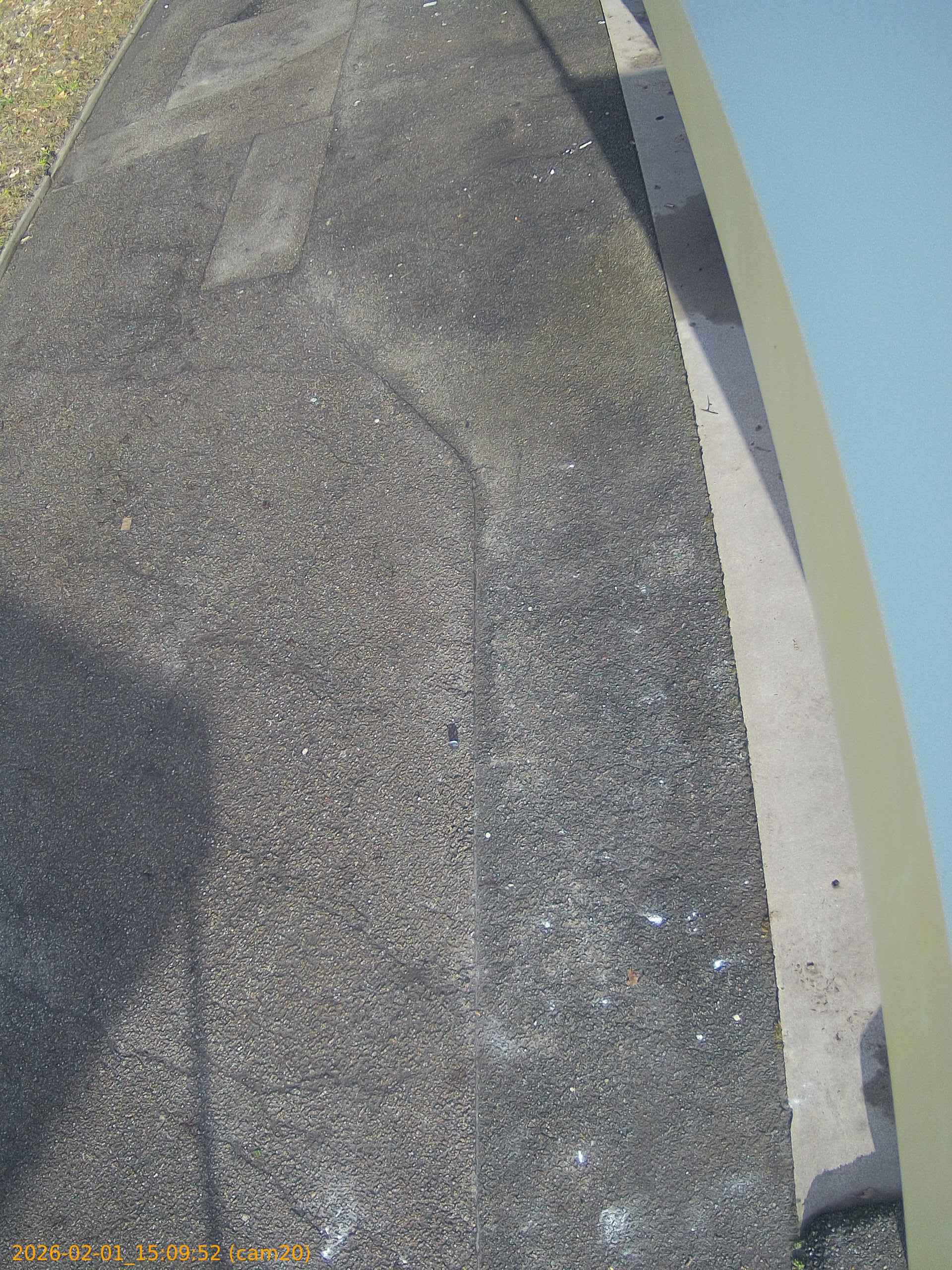 thumbnail_20260201150952