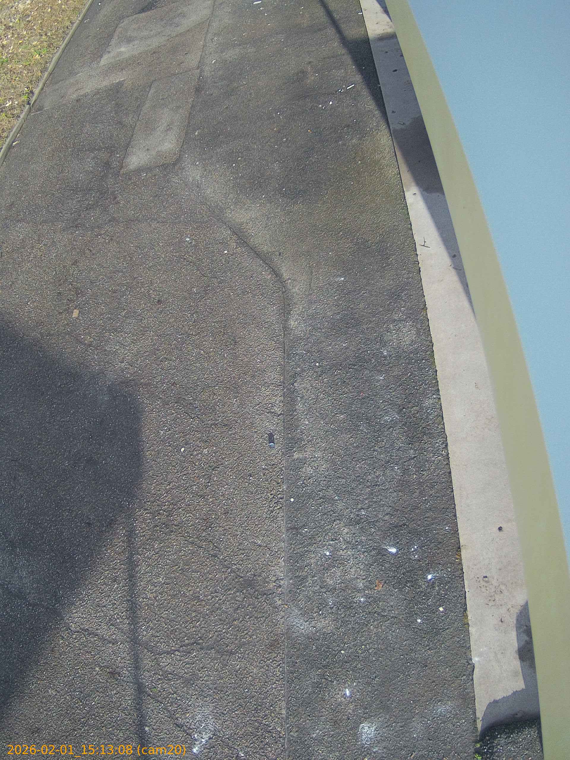 thumbnail_20260201151308