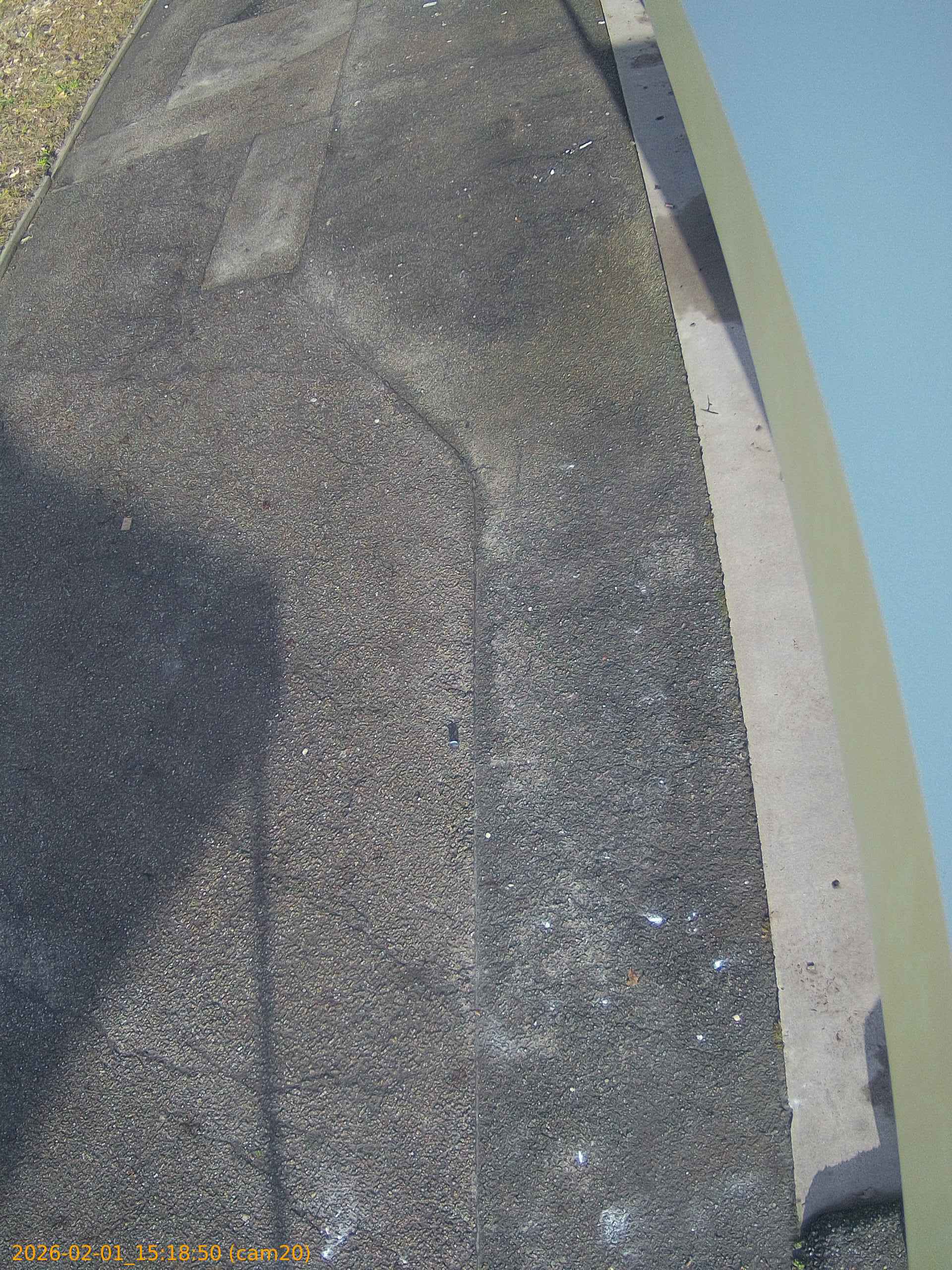 thumbnail_20260201151850