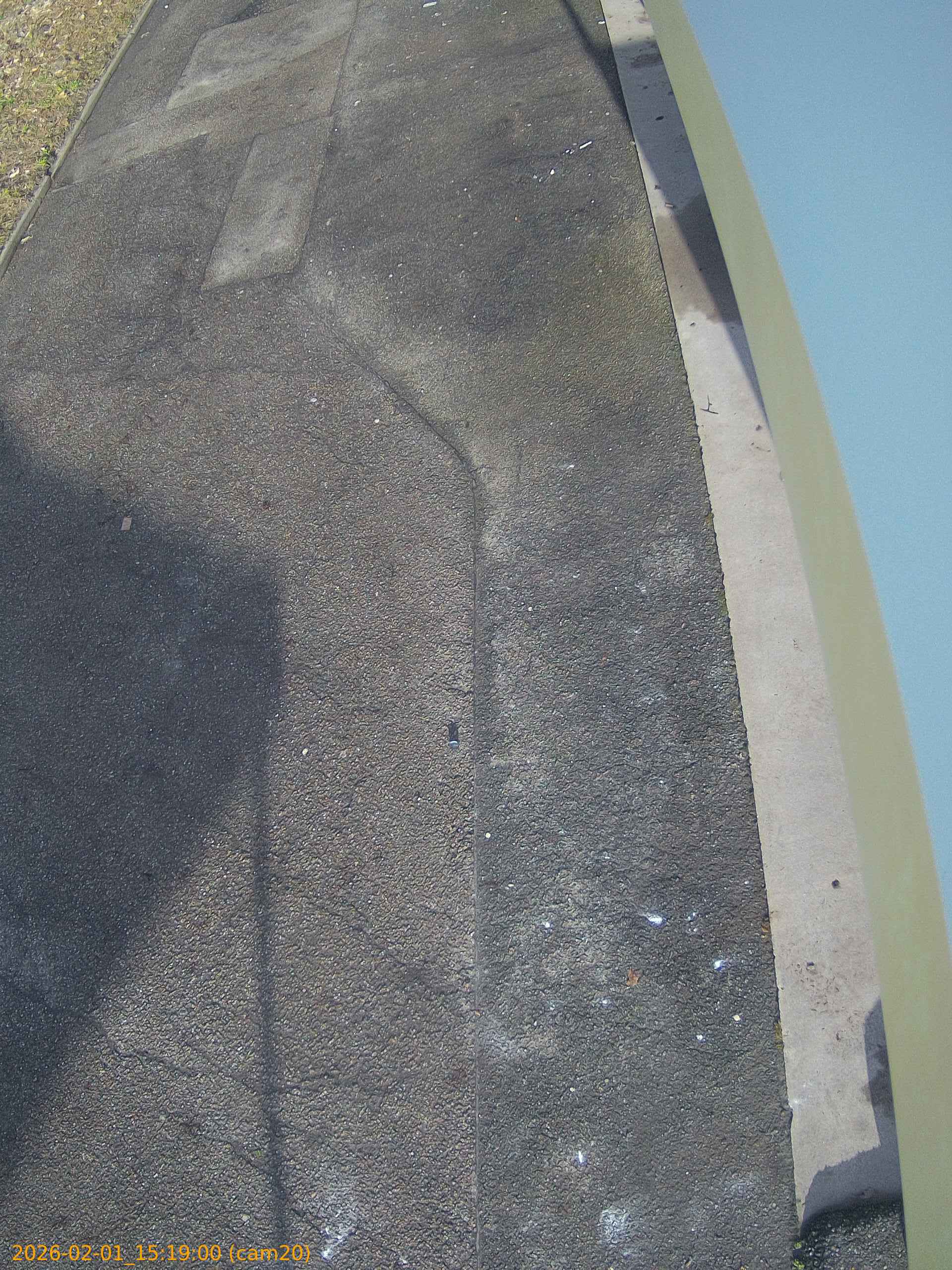 thumbnail_20260201151900