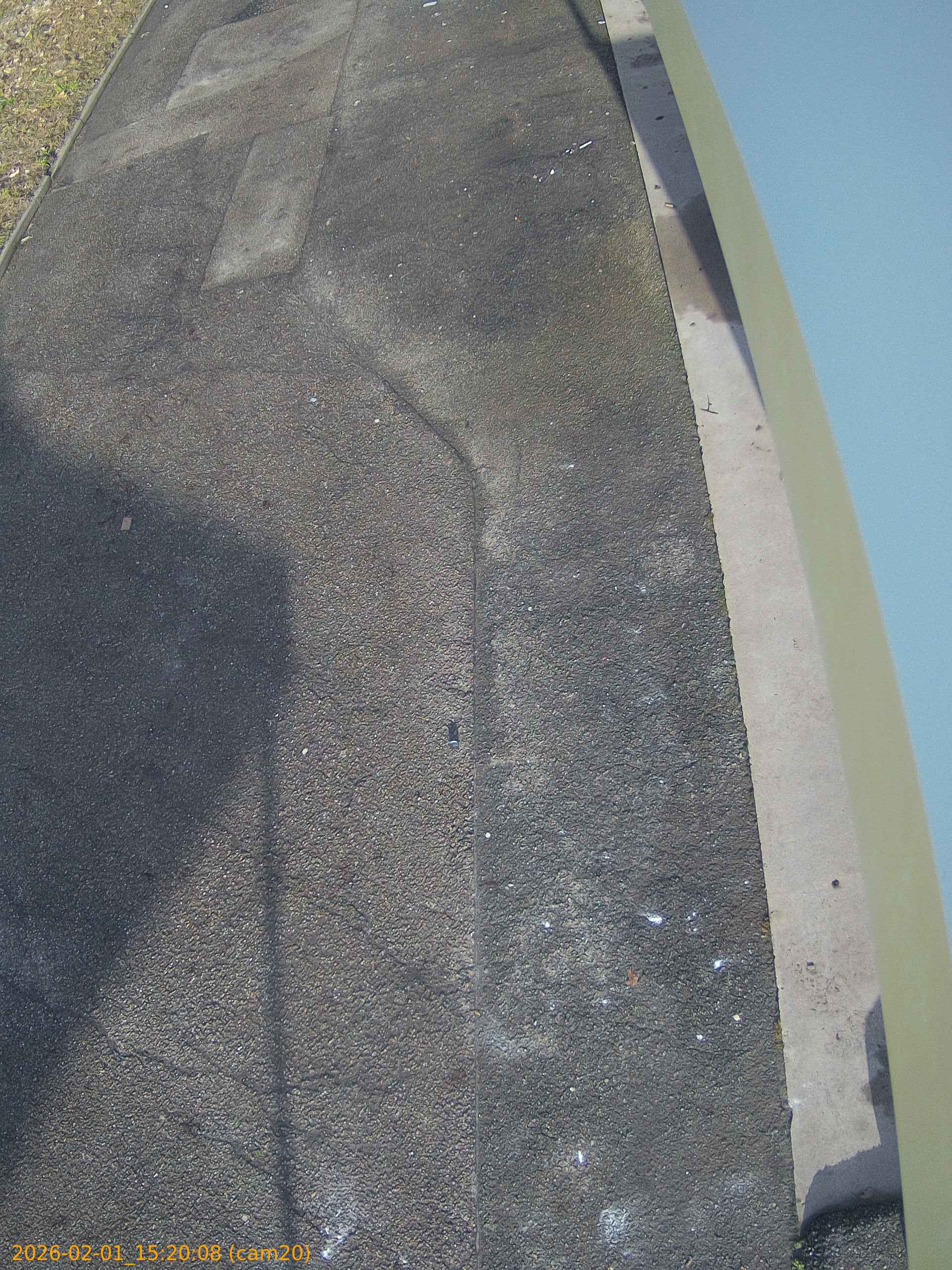 thumbnail_20260201152008