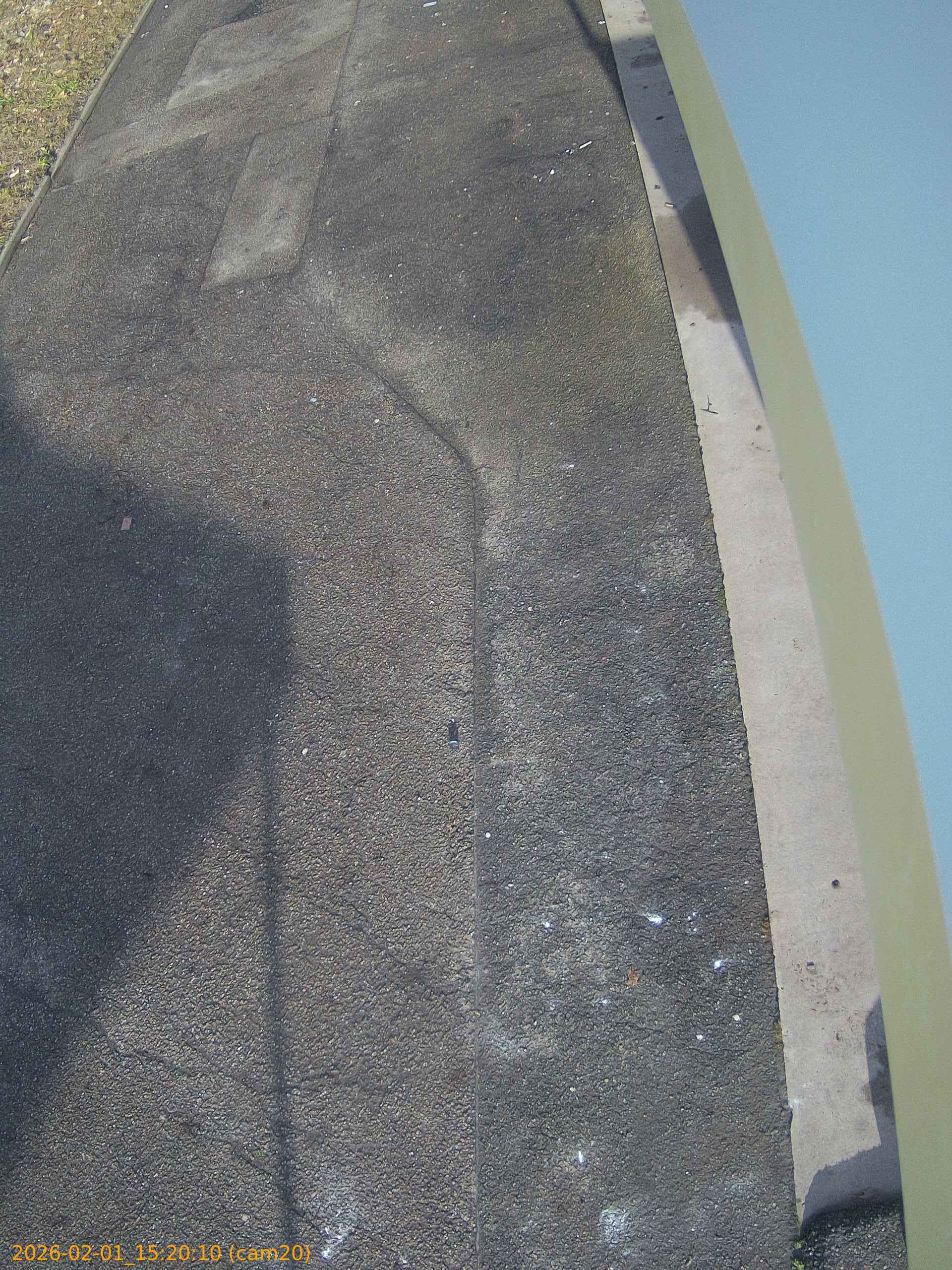 thumbnail_20260201152010