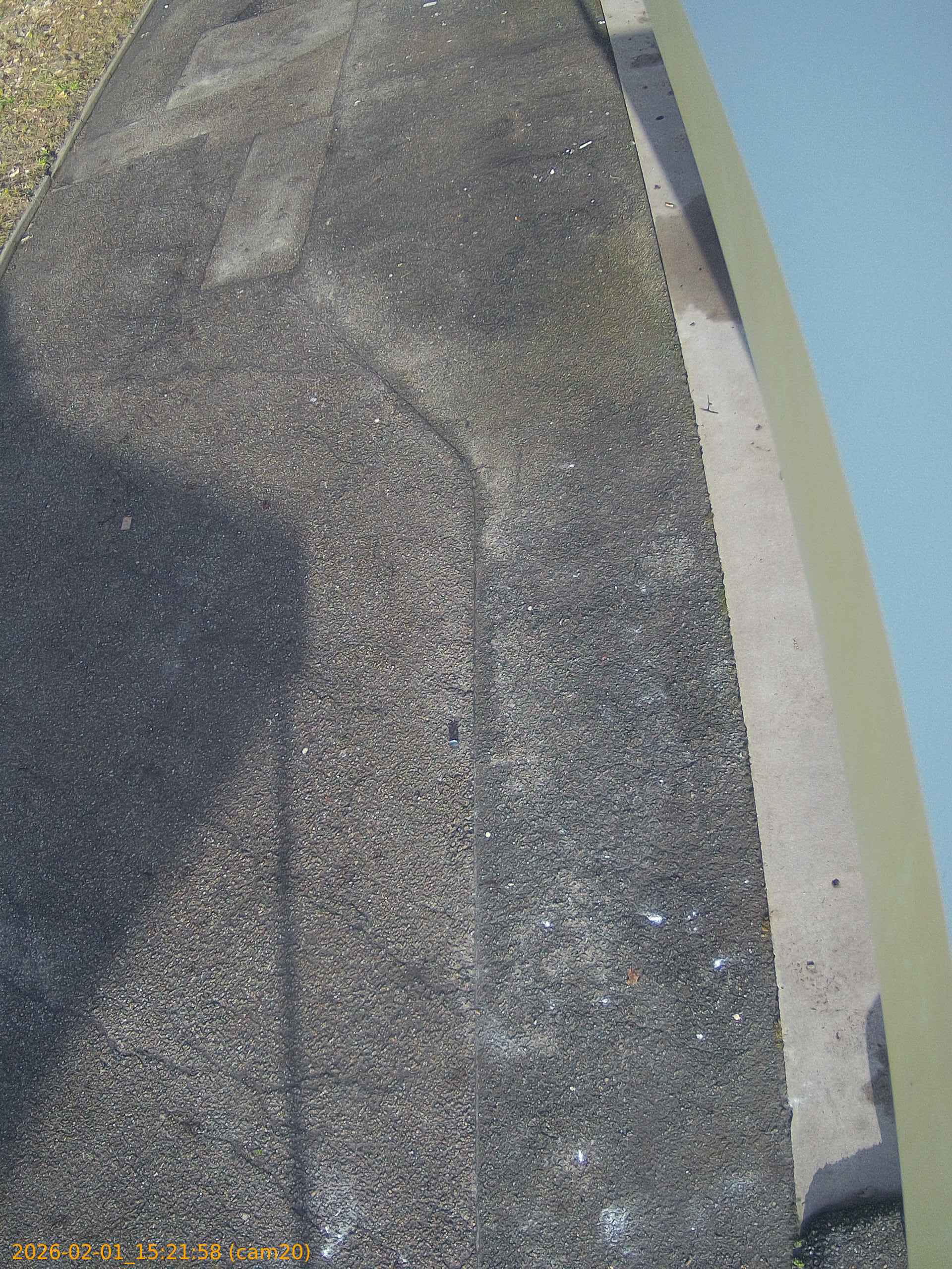 thumbnail_20260201152158