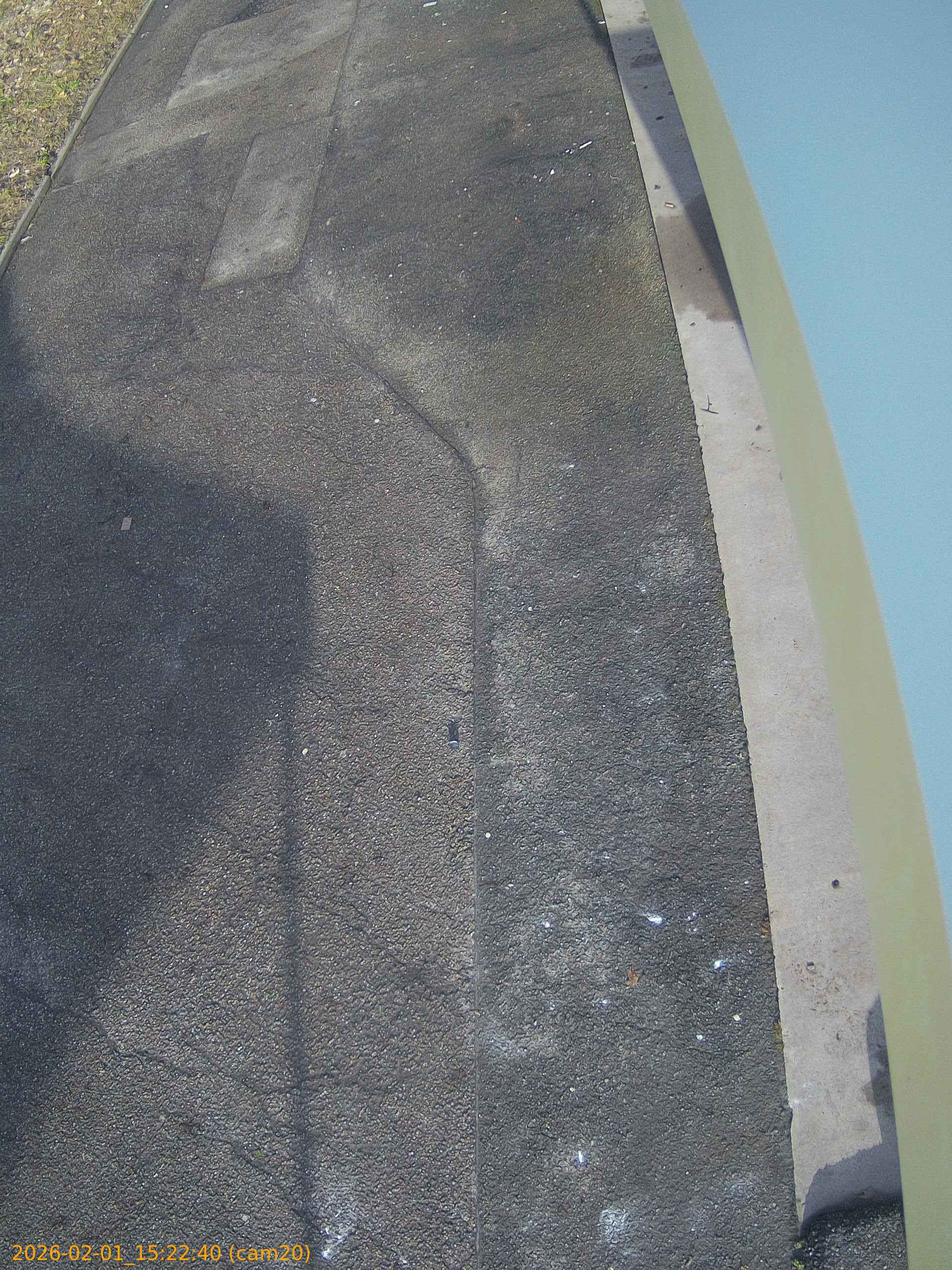 thumbnail_20260201152240